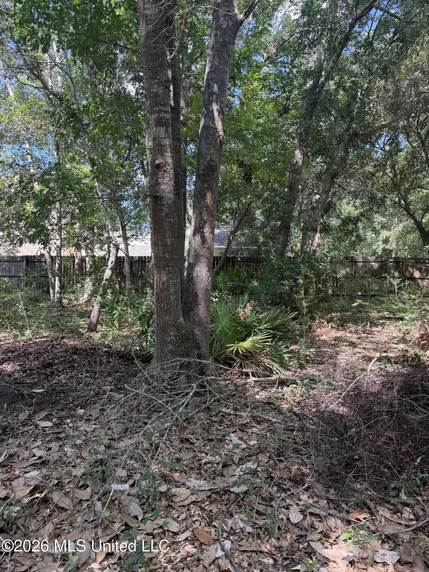 7716 Clamshell Avenue Property Photo 68