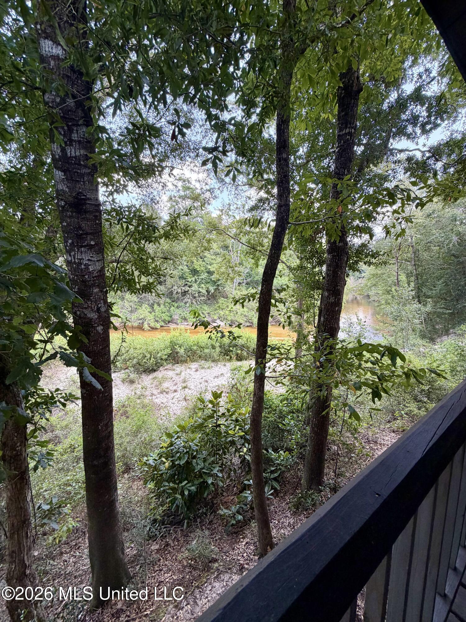 85 Lazy Wolf Cove Property Photo 19