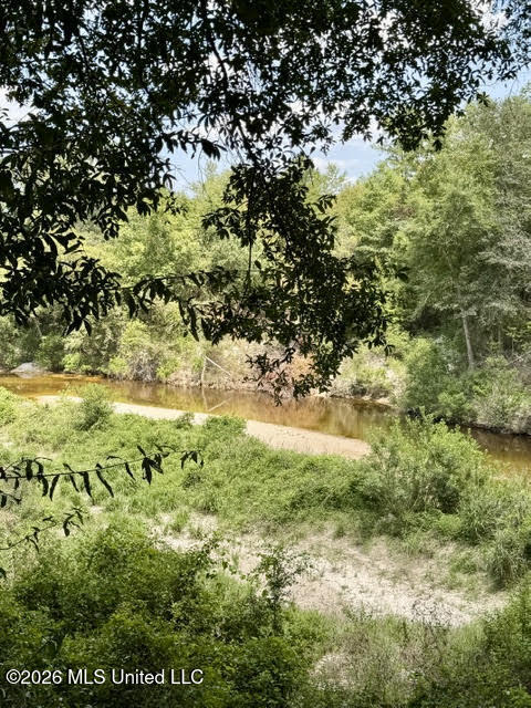 85 Lazy Wolf Cove Property Photo 20