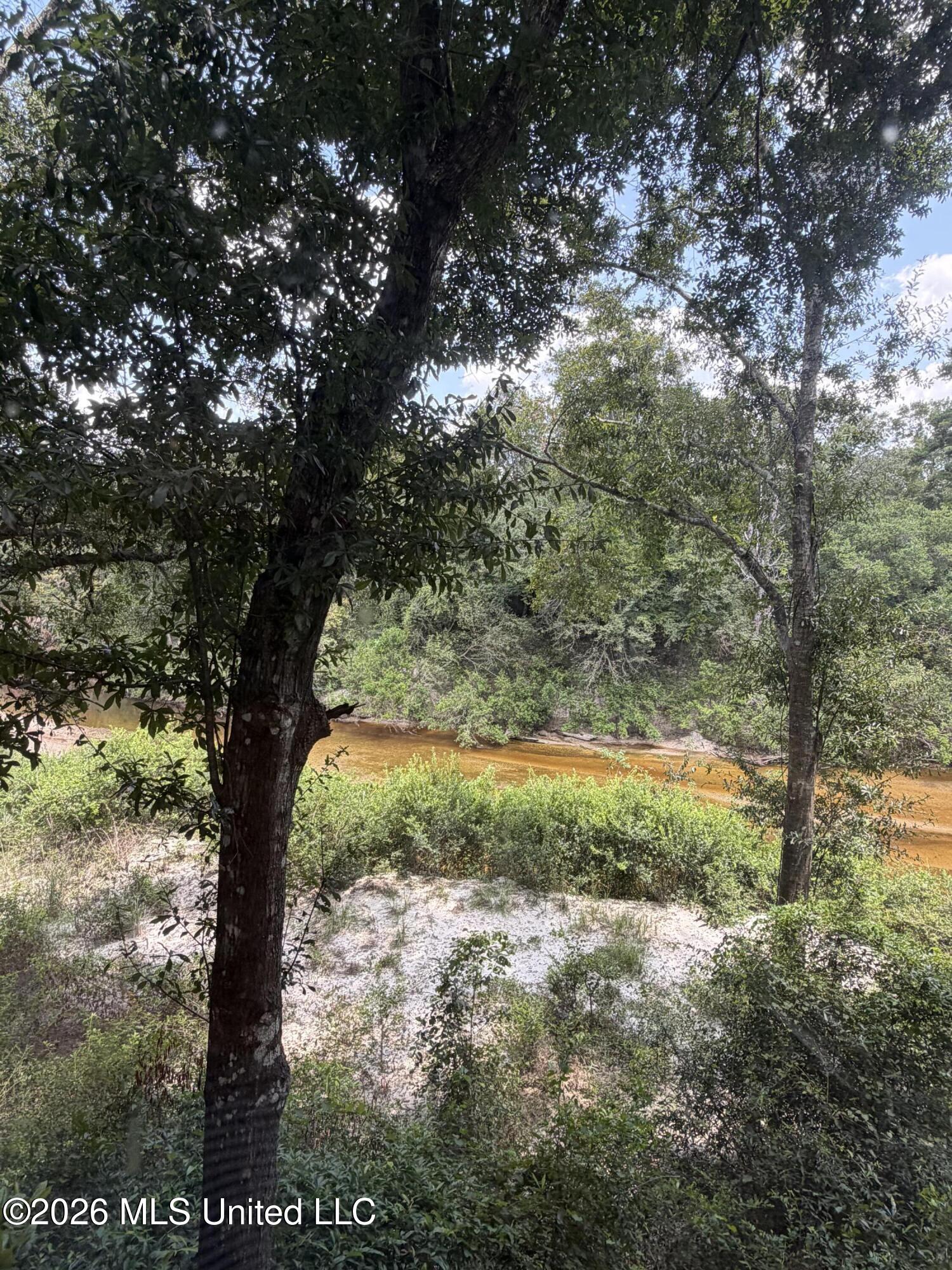 85 Lazy Wolf Cove Property Photo 21