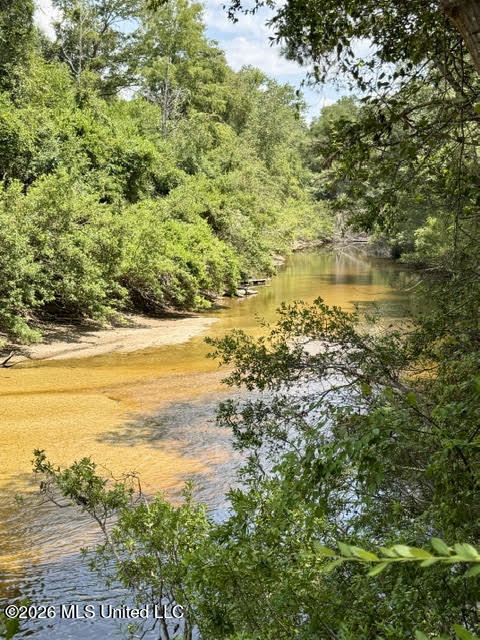 85 Lazy Wolf Cove Property Photo 24