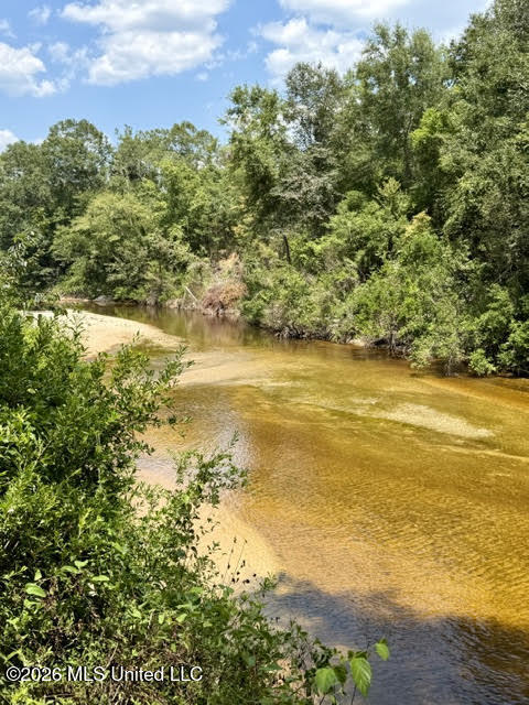 85 Lazy Wolf Cove Property Photo 25