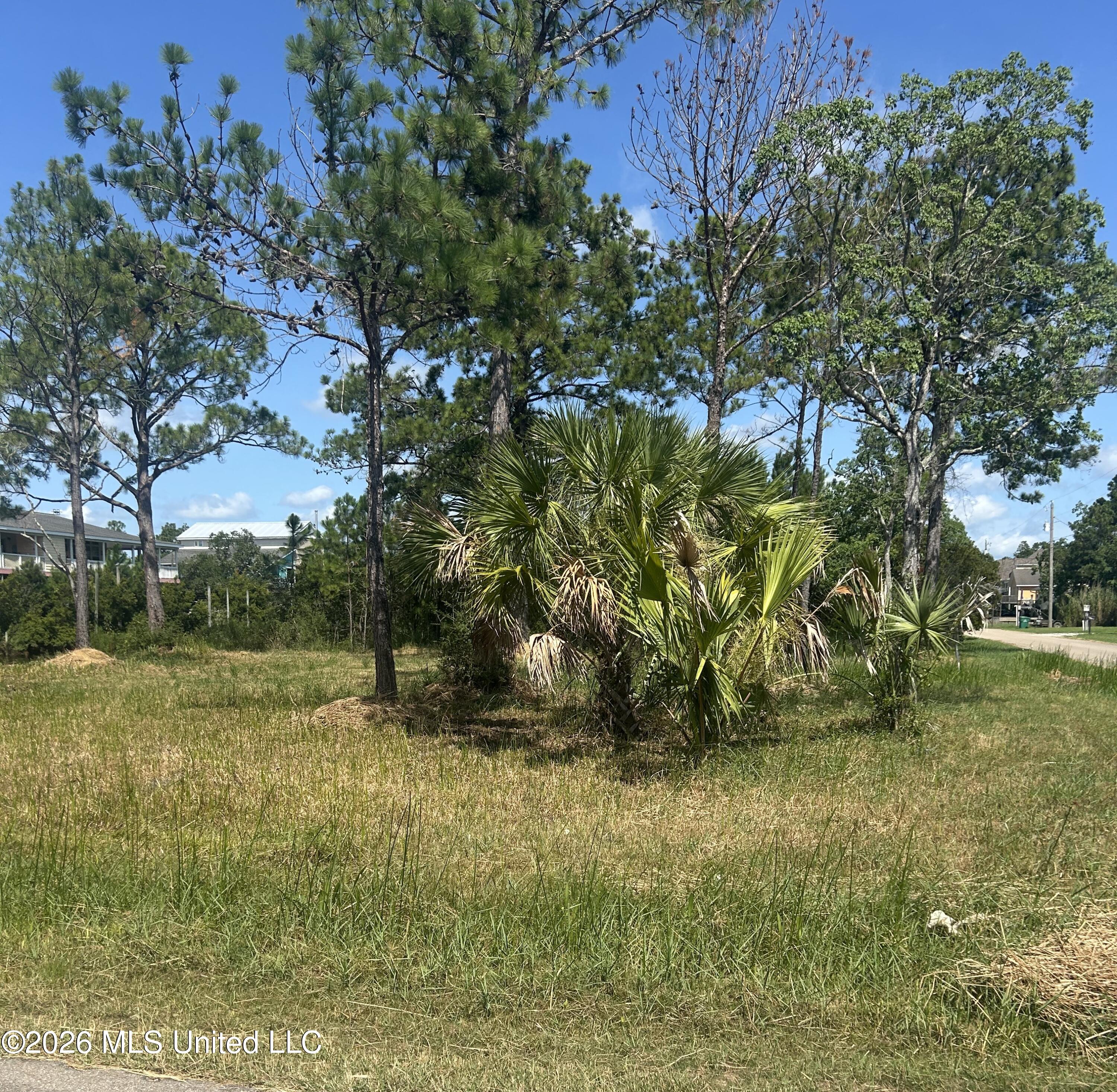 0 Whale Avenue Property Photo 3