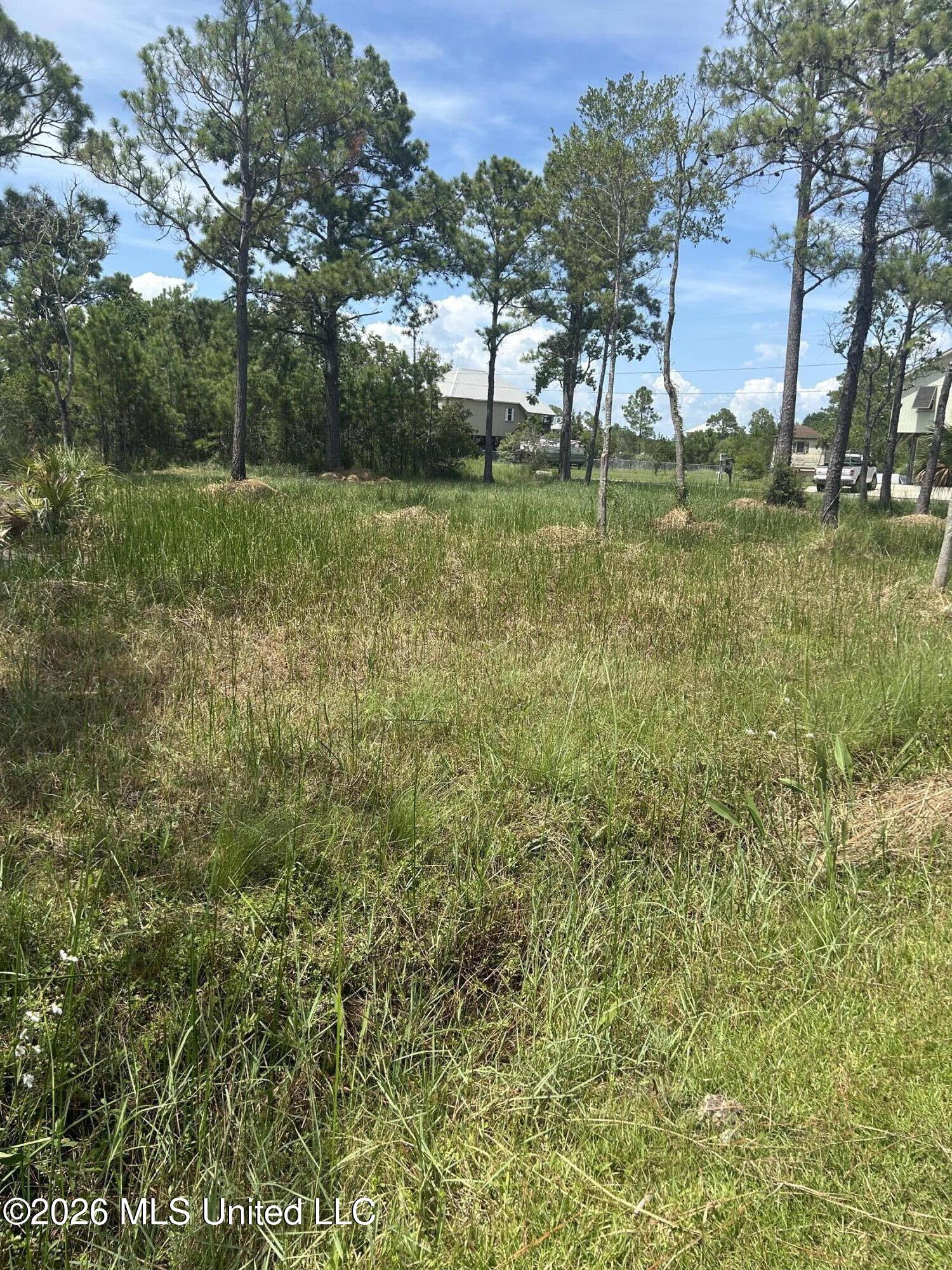 0 Whale Avenue Property Photo 5