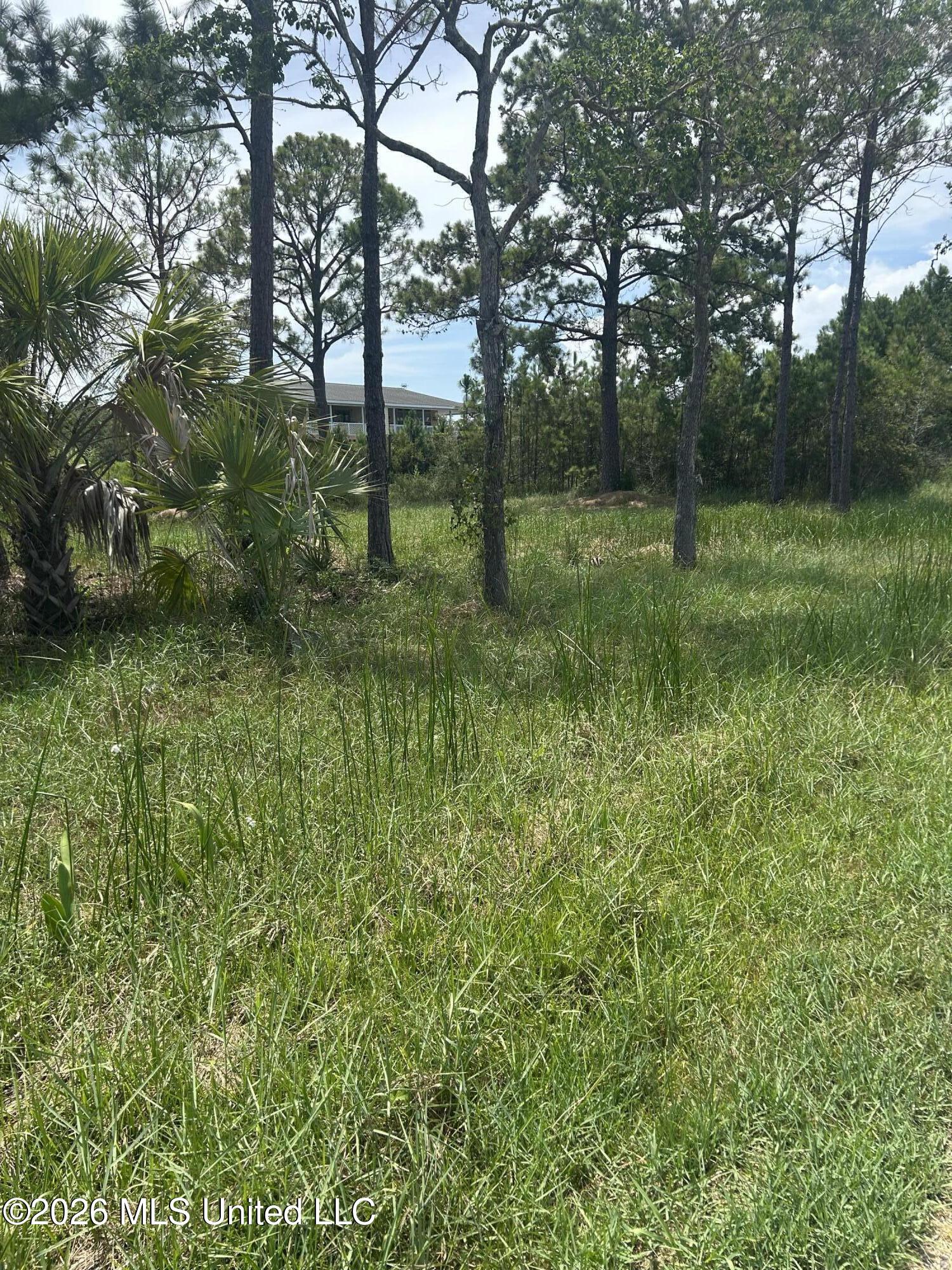 0 Whale Avenue Property Photo 6