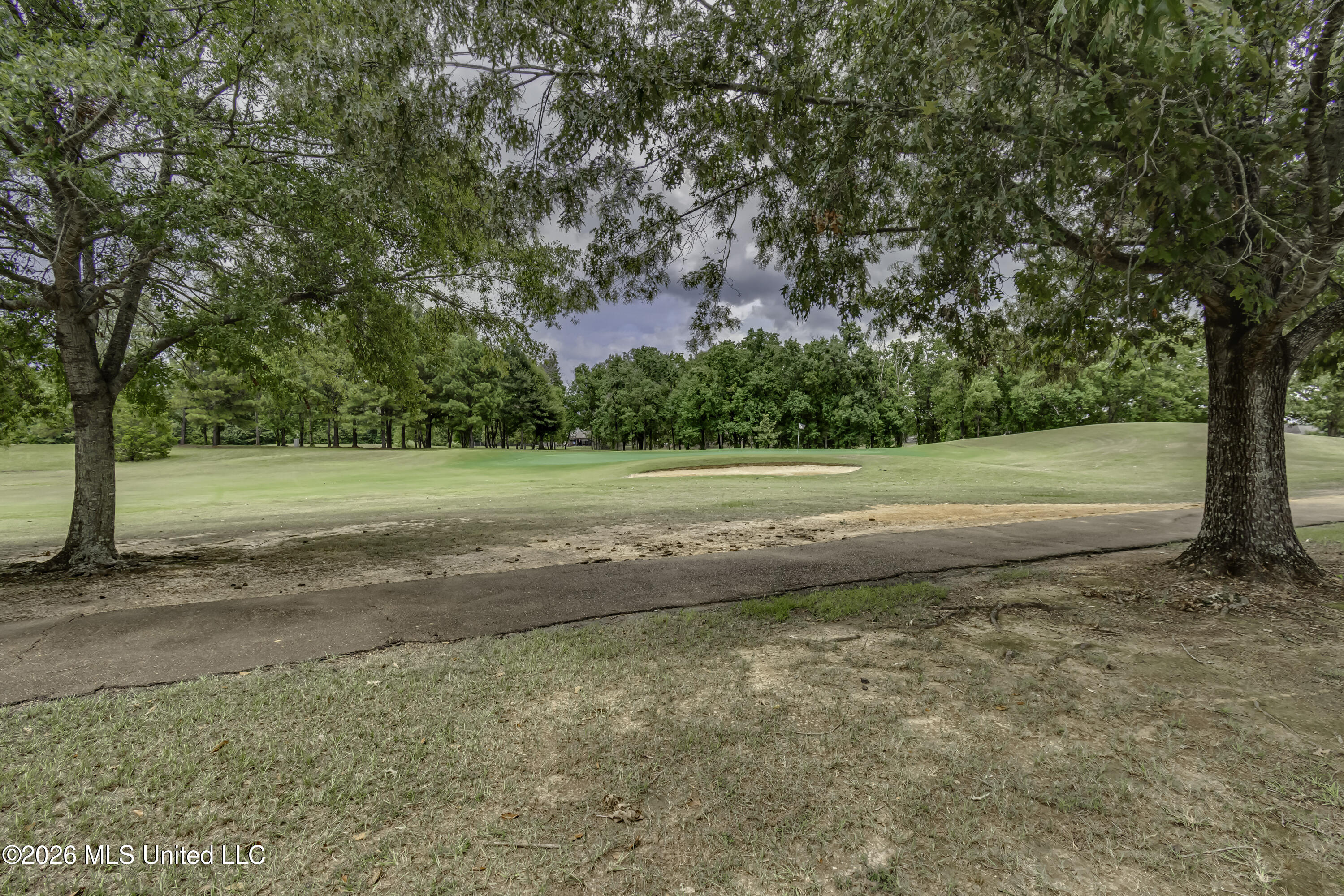 802 Cottonridge Drive Property Photo 12