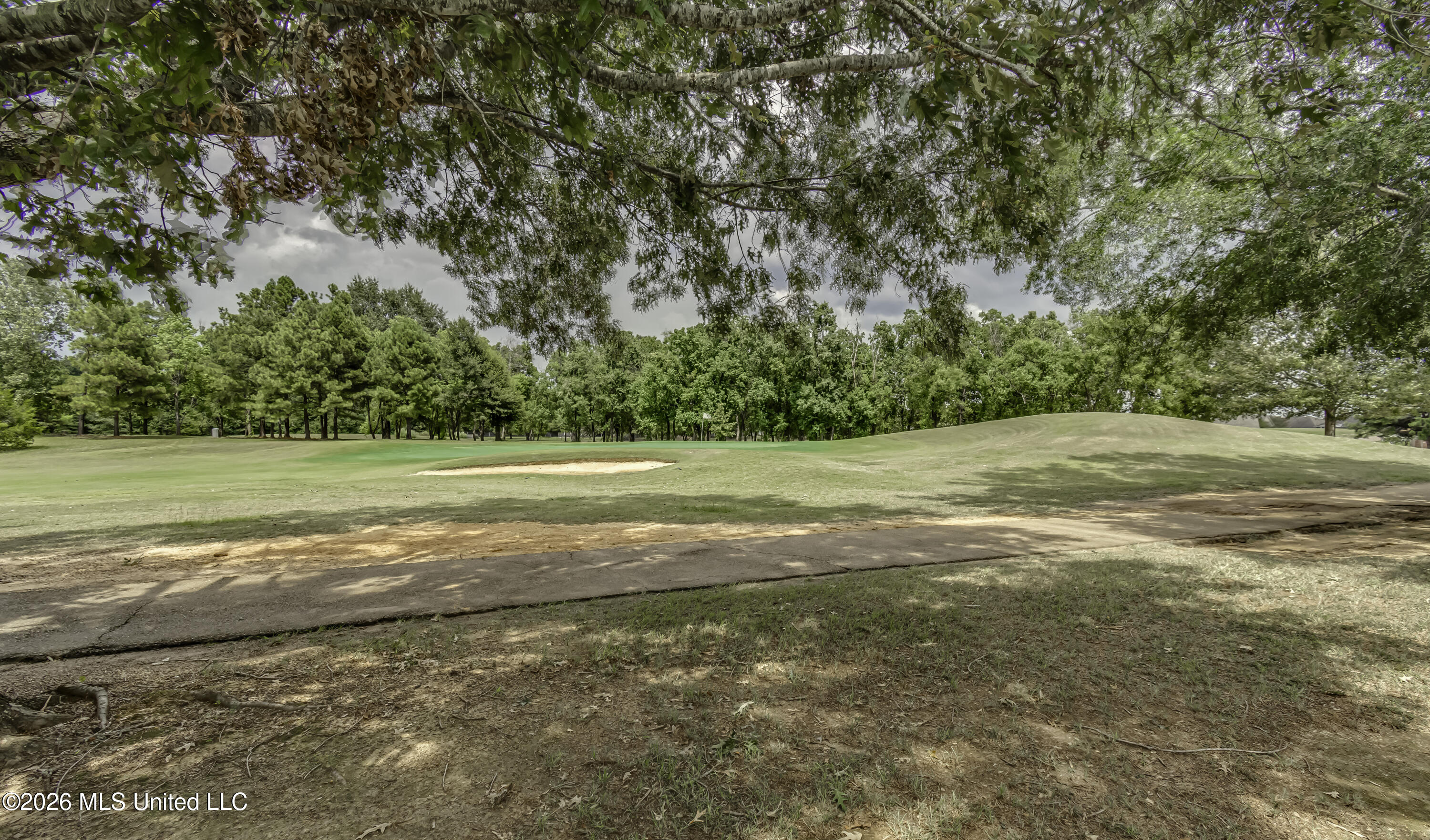 802 Cottonridge Drive Property Photo 15