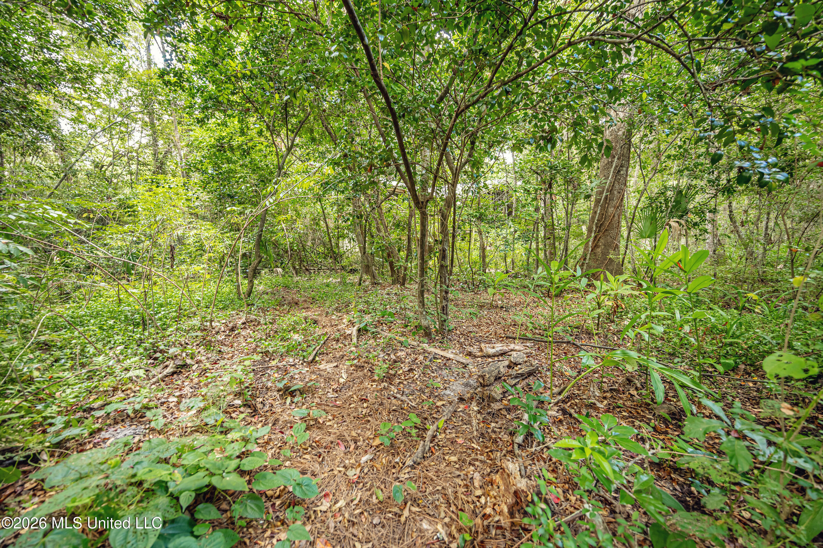 1103 Le Voyageur Drive Property Photo 111