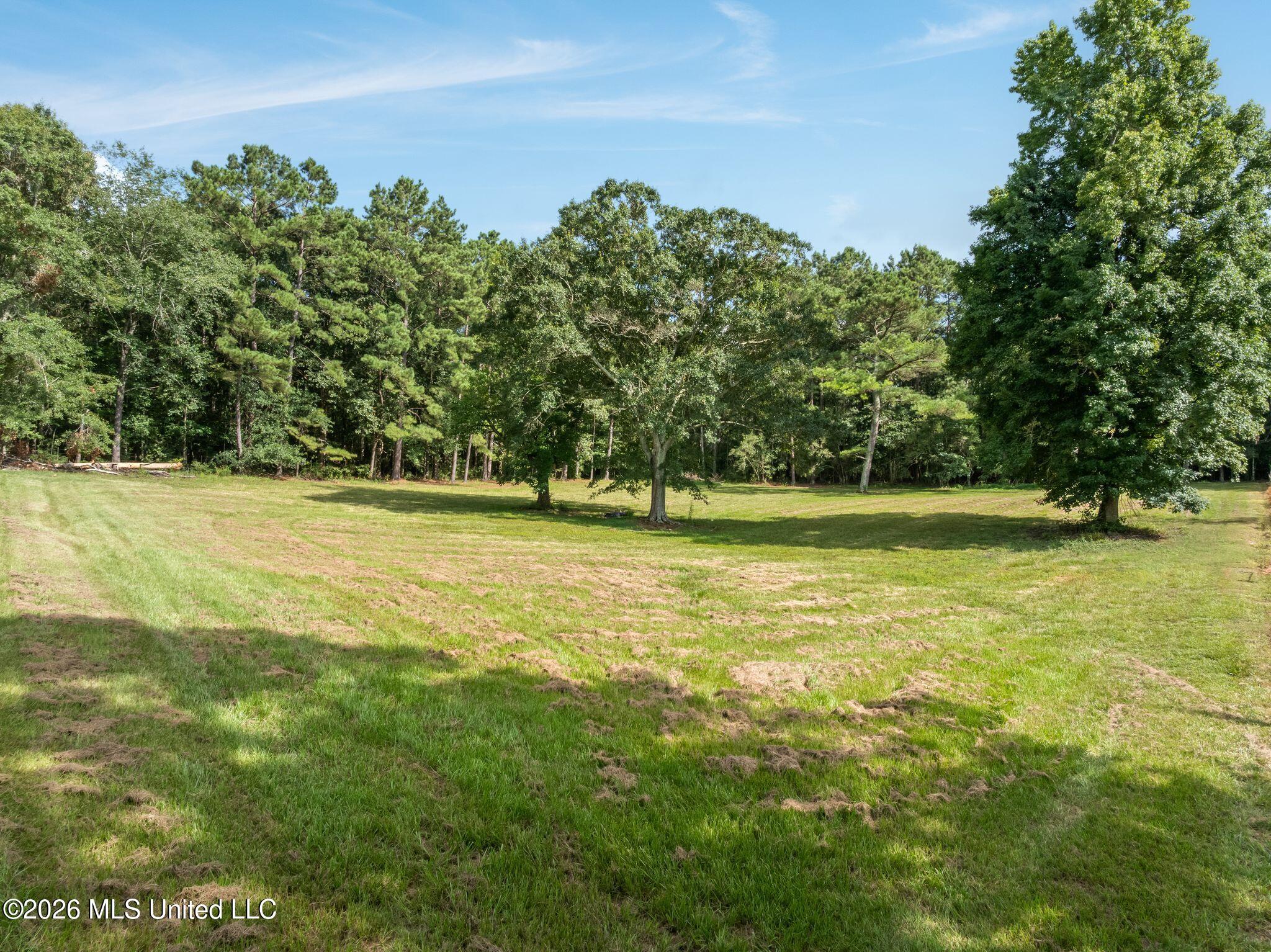 2111 Old Brookhaven Road Property Photo 60