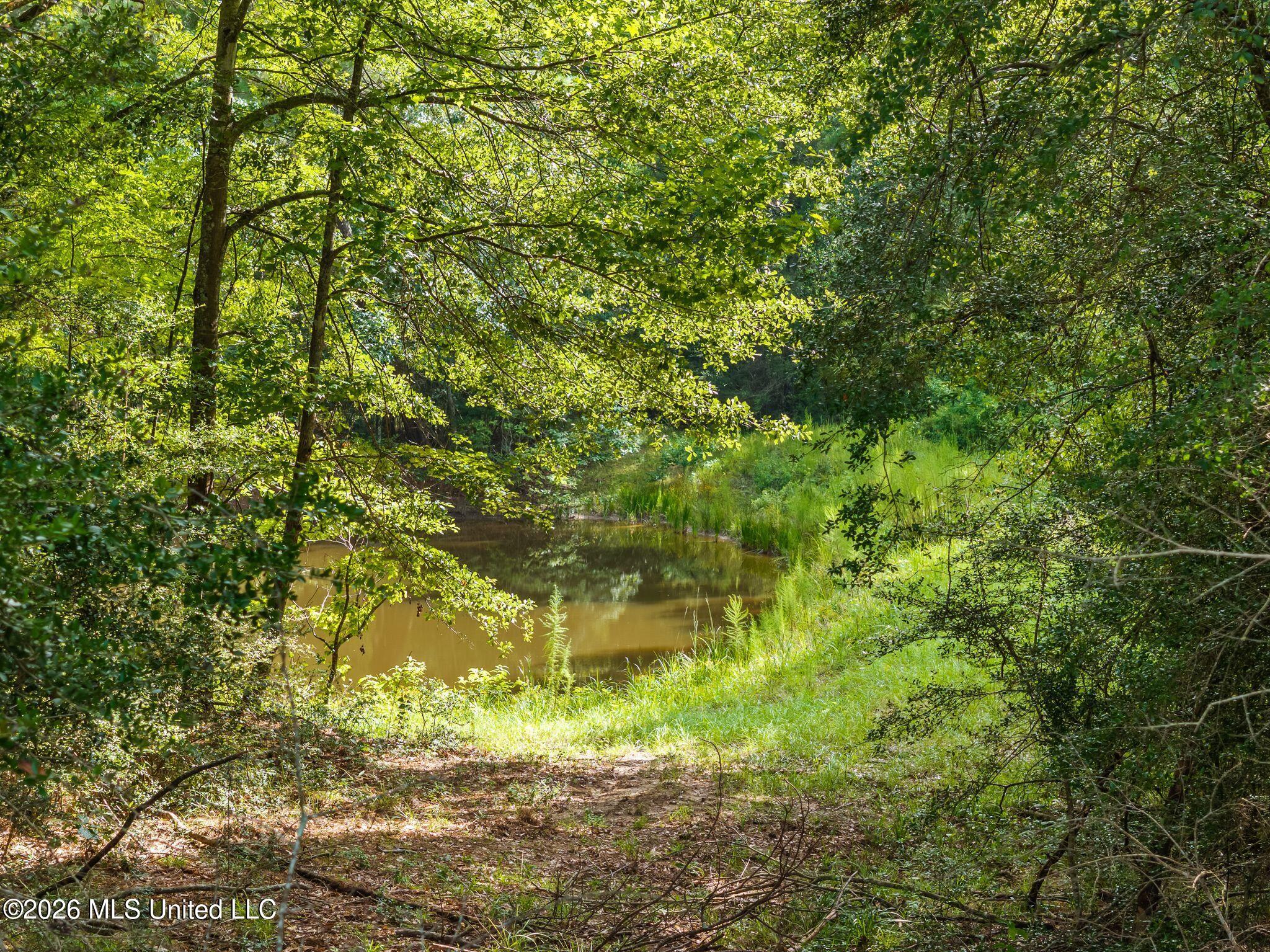 2111 Old Brookhaven Road Property Photo 67