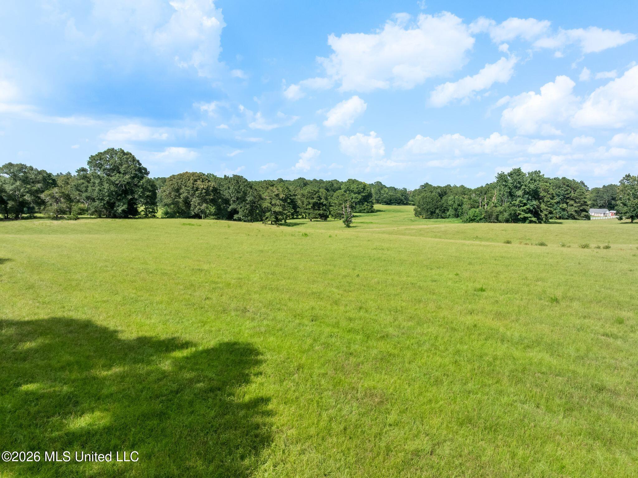 2111 Old Brookhaven Road Property Photo 68
