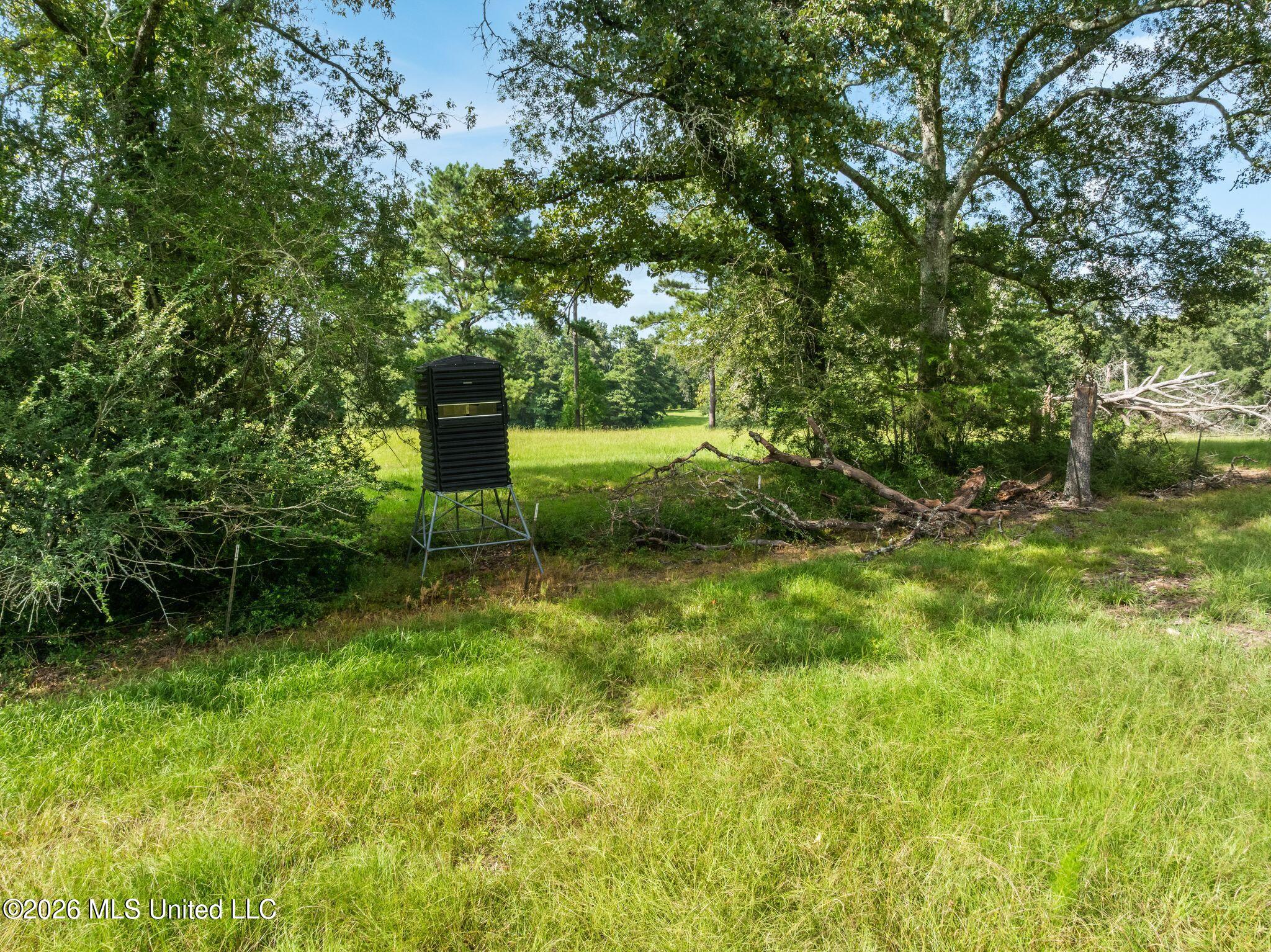 2111 Old Brookhaven Road Property Photo 69
