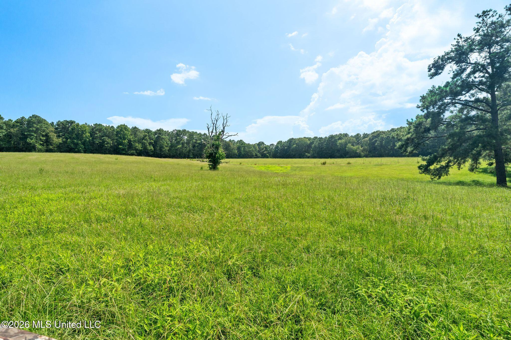 2111 Old Brookhaven Road Property Photo 71