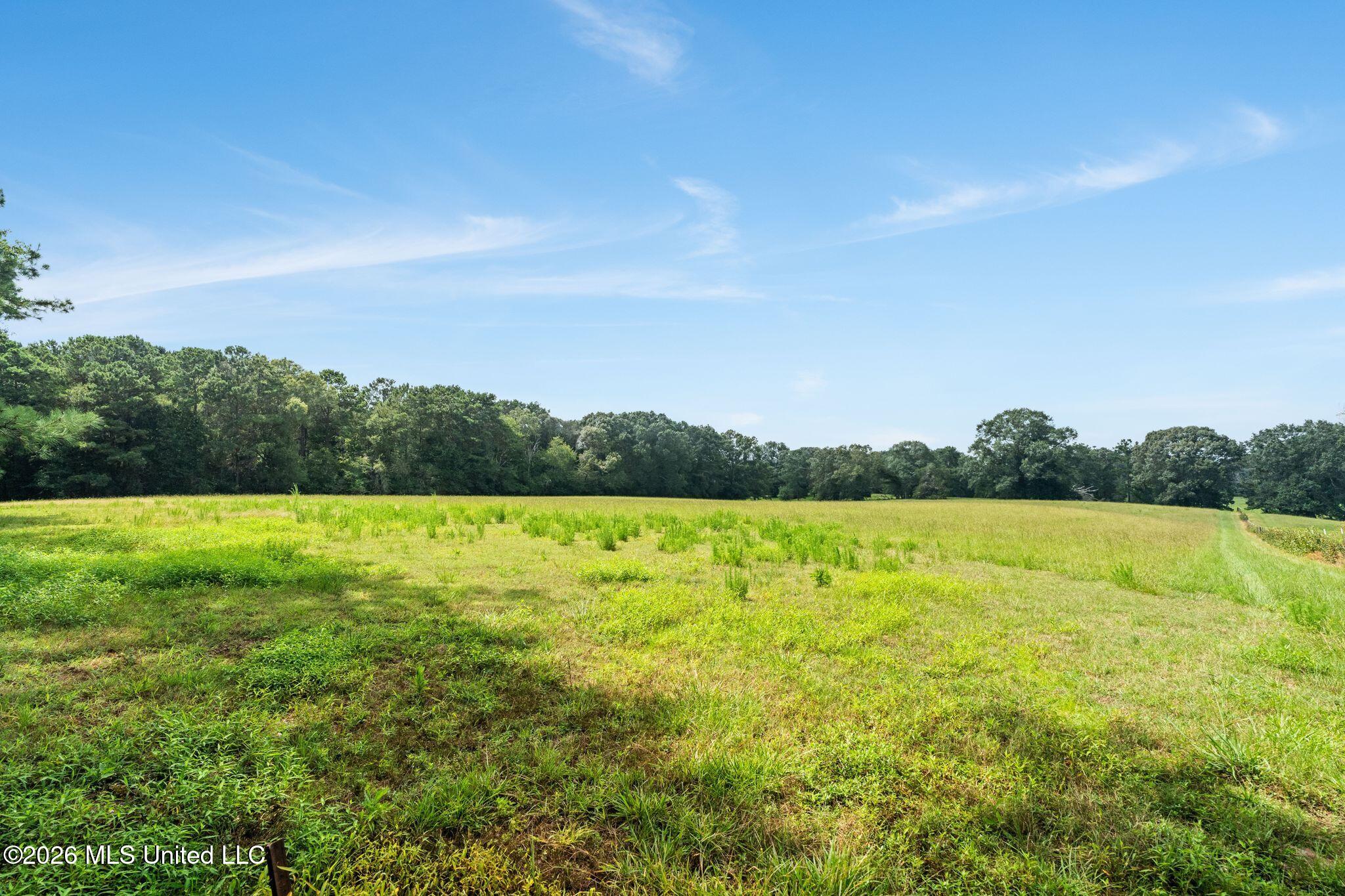 2111 Old Brookhaven Road Property Photo 72