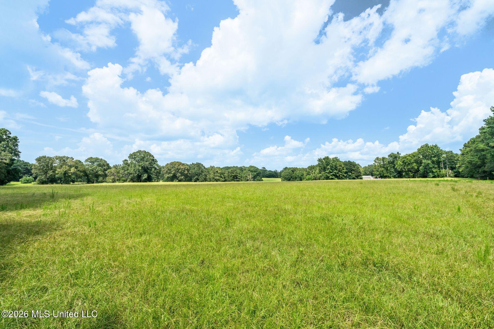 2111 Old Brookhaven Road Property Photo 73
