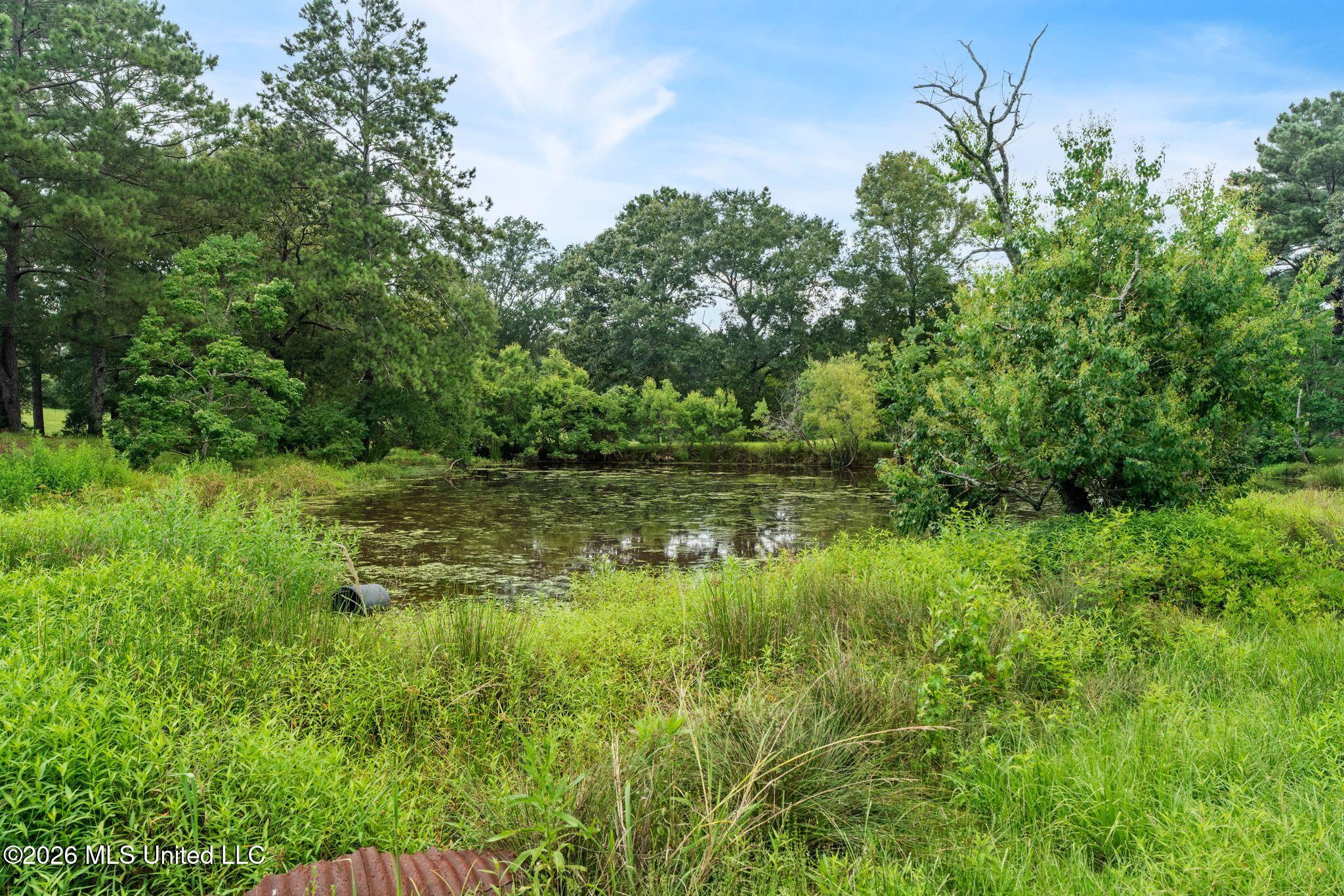 2111 Old Brookhaven Road Property Photo 74