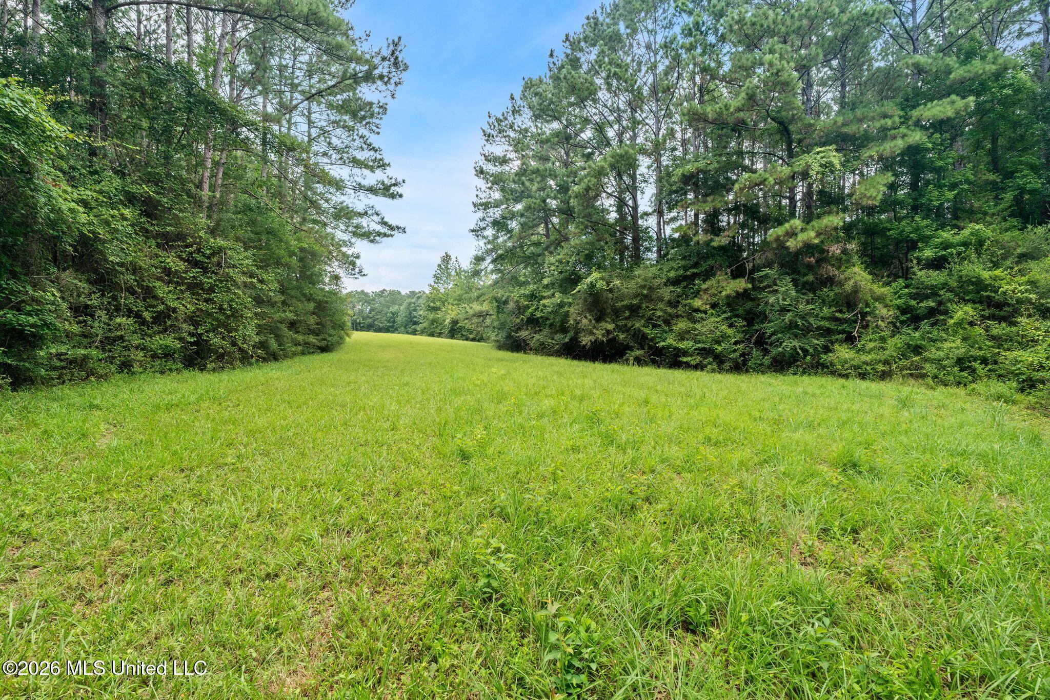 2111 Old Brookhaven Road Property Photo 75