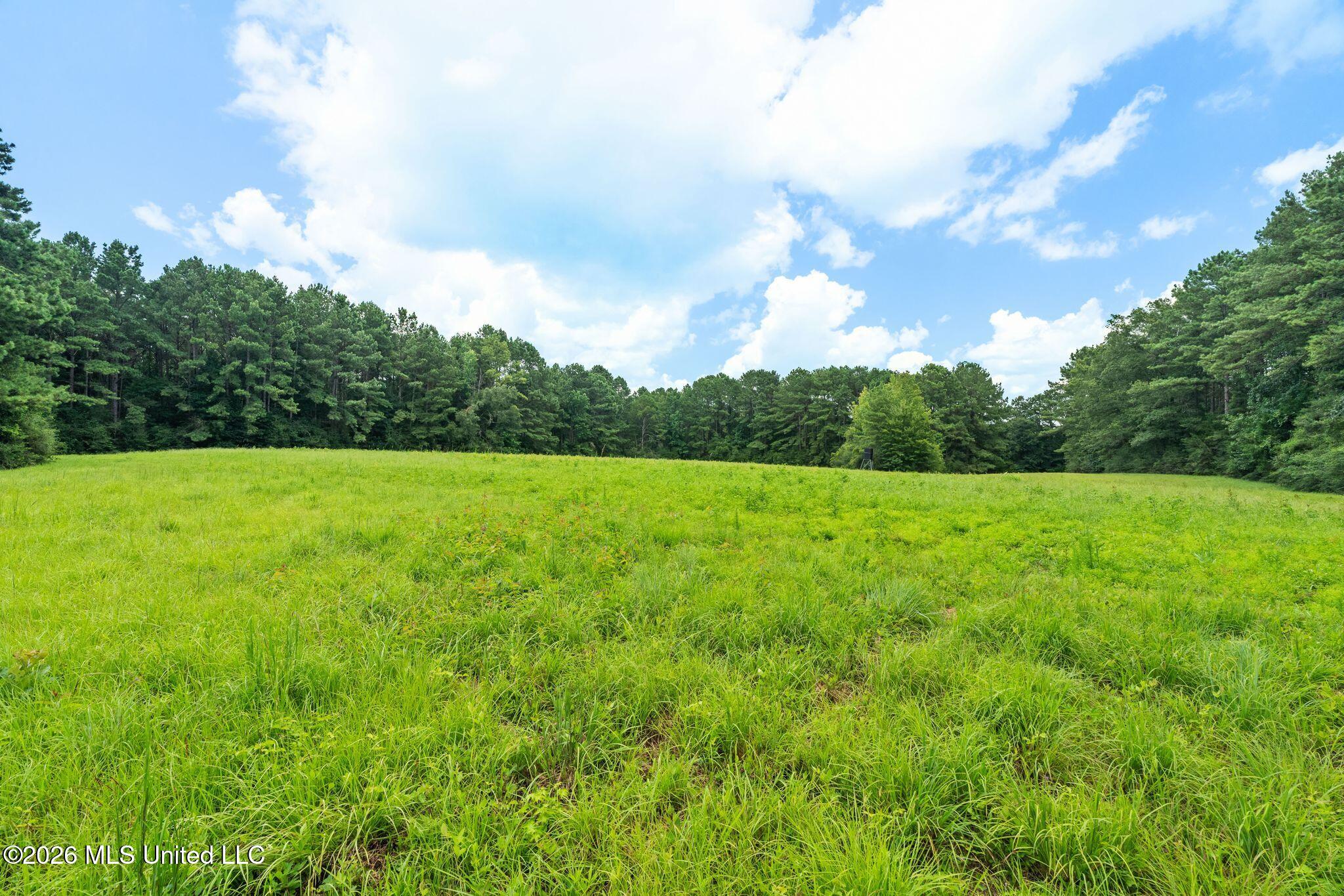 2111 Old Brookhaven Road Property Photo 76