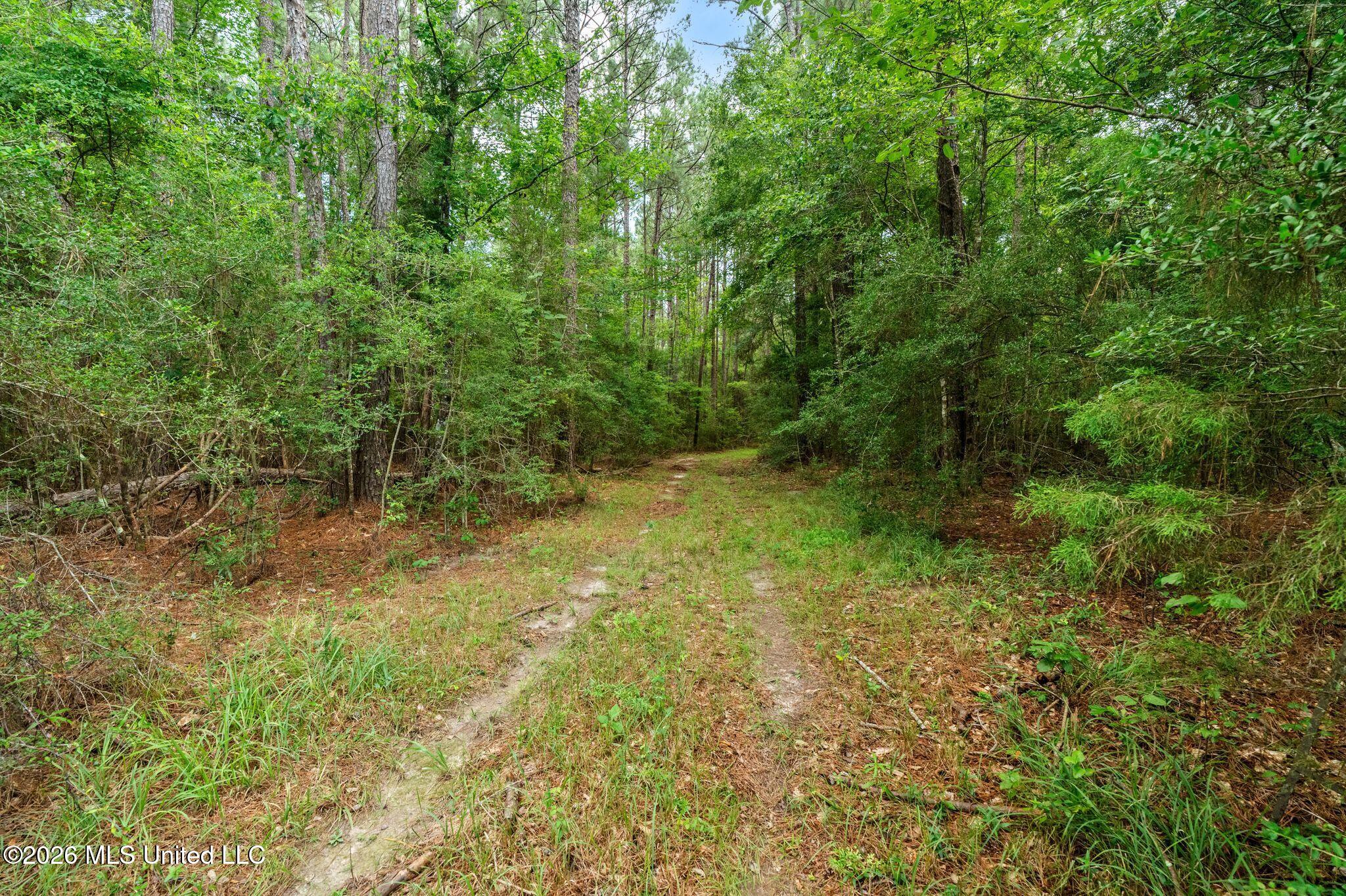 2111 Old Brookhaven Road Property Photo 77