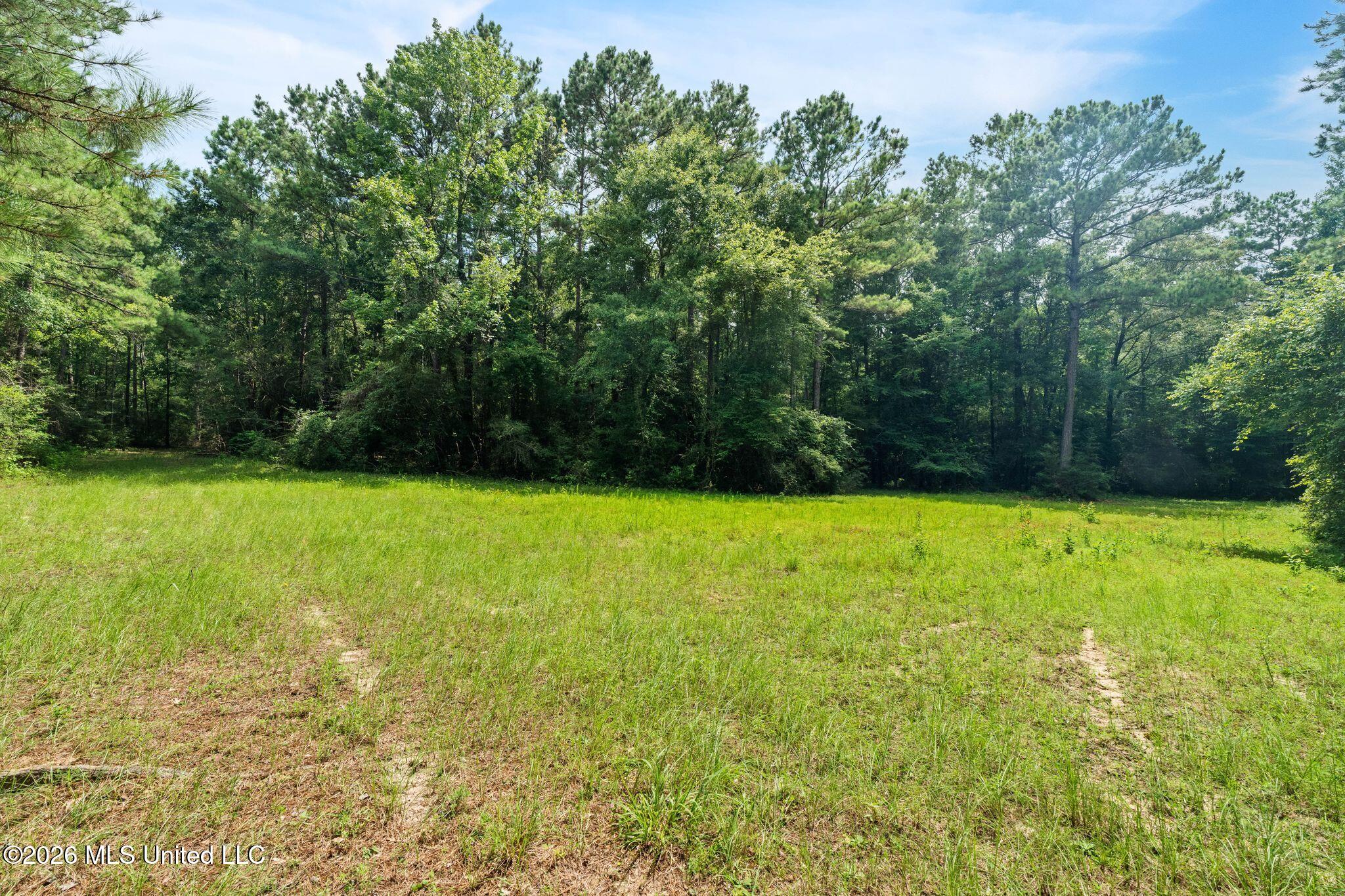 2111 Old Brookhaven Road Property Photo 78