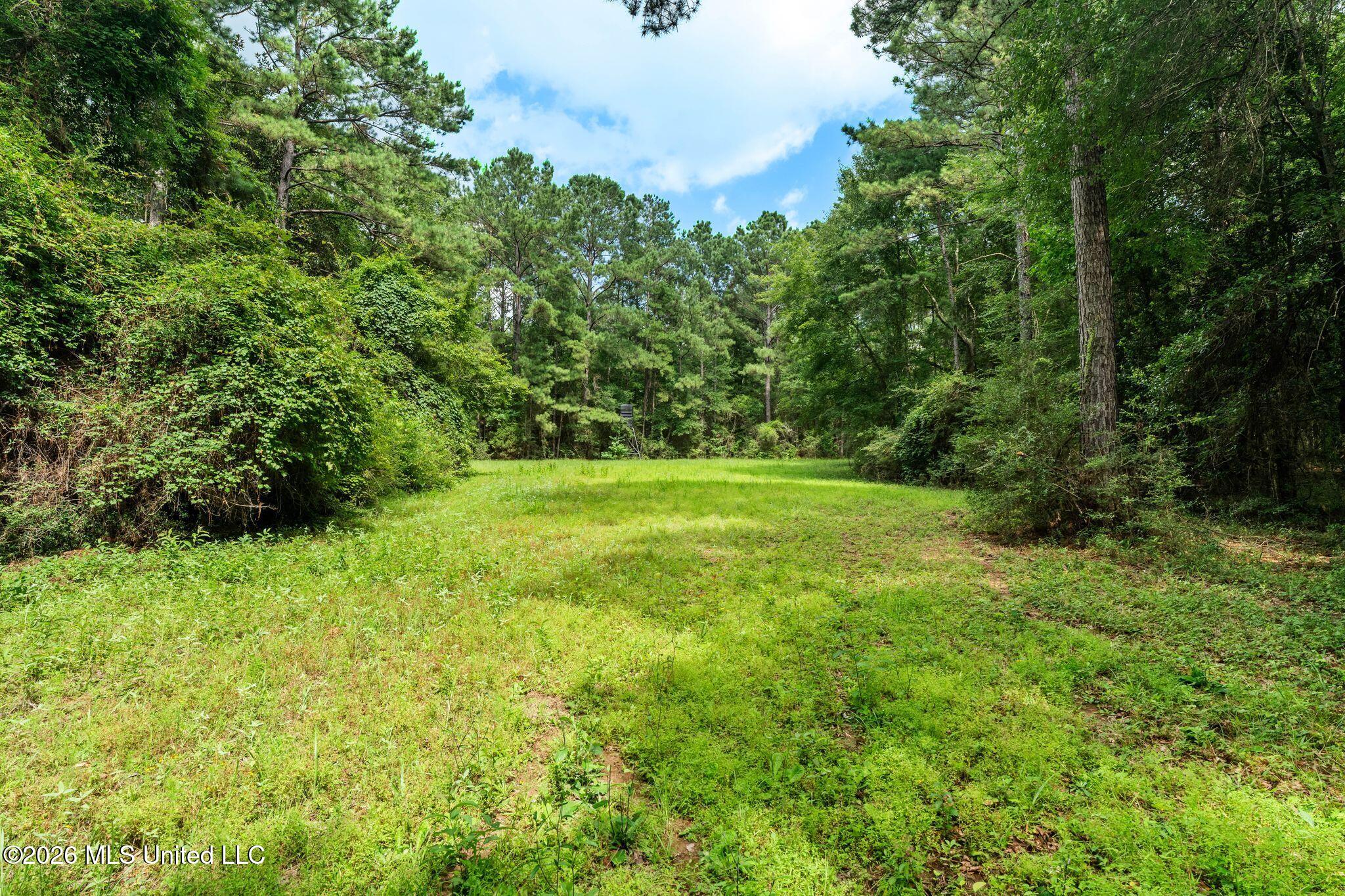 2111 Old Brookhaven Road Property Photo 79