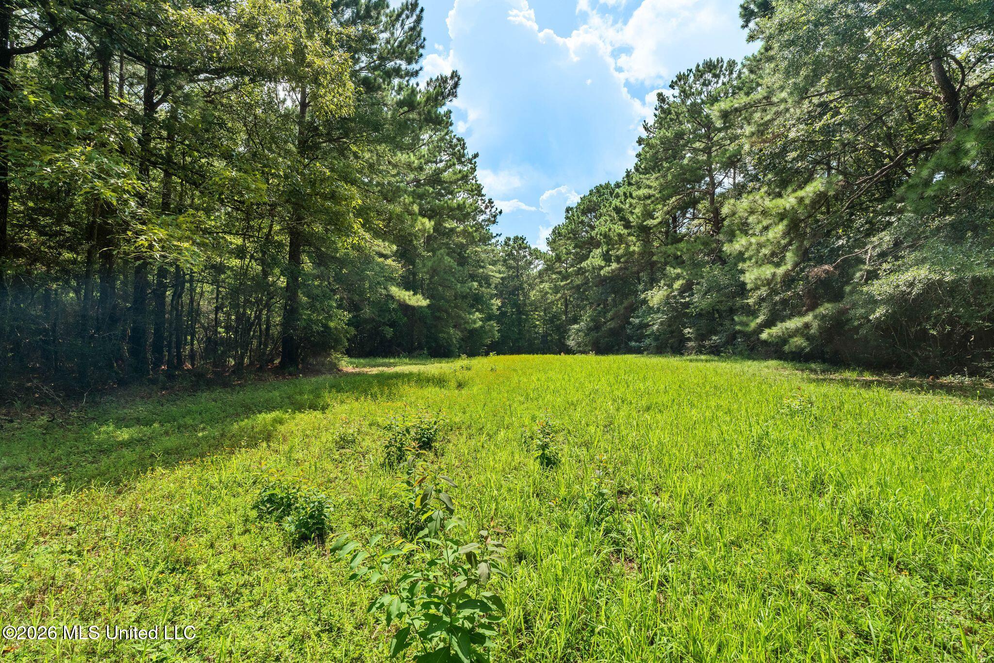 2111 Old Brookhaven Road Property Photo 80