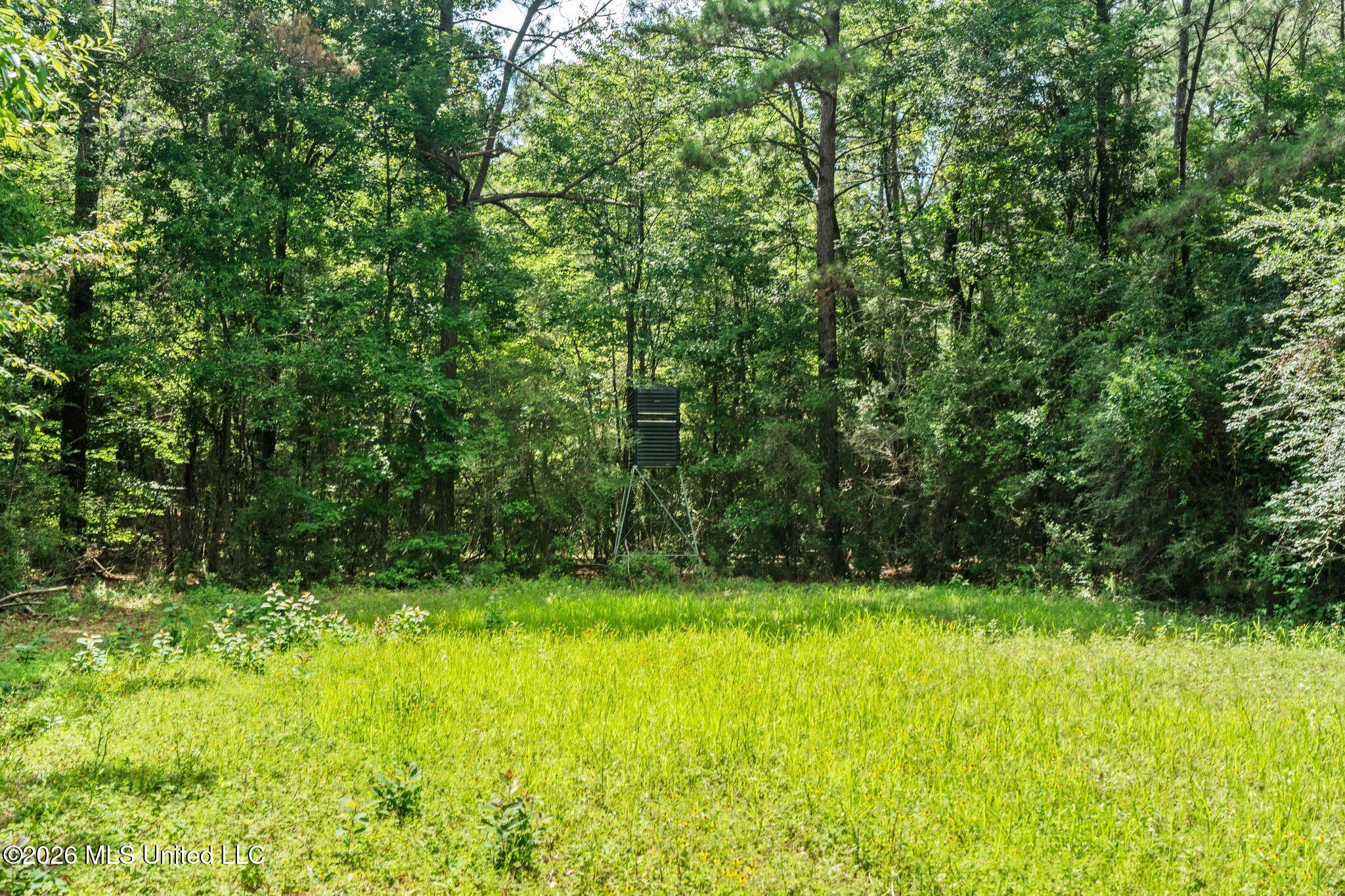 2111 Old Brookhaven Road Property Photo 81