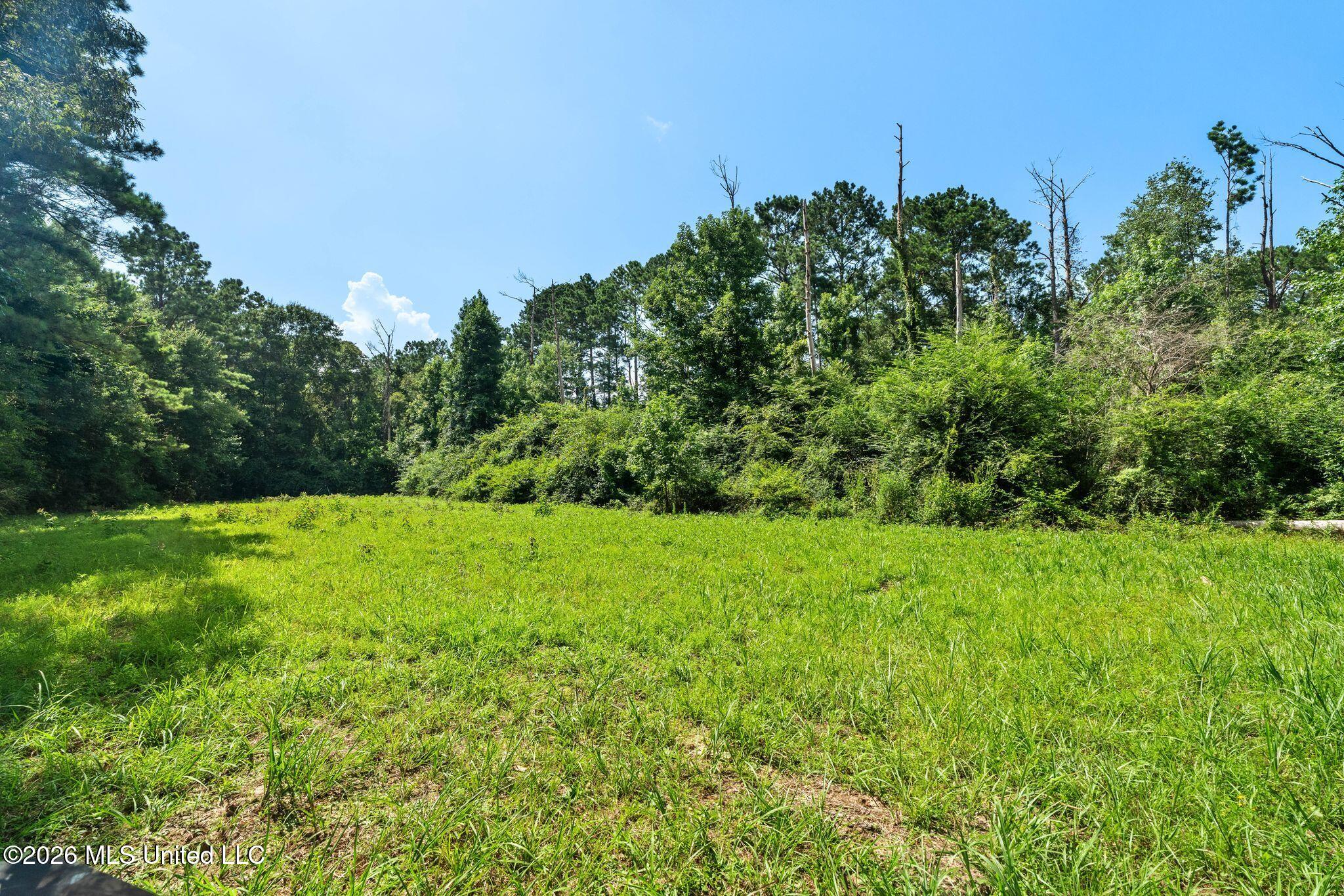 2111 Old Brookhaven Road Property Photo 82
