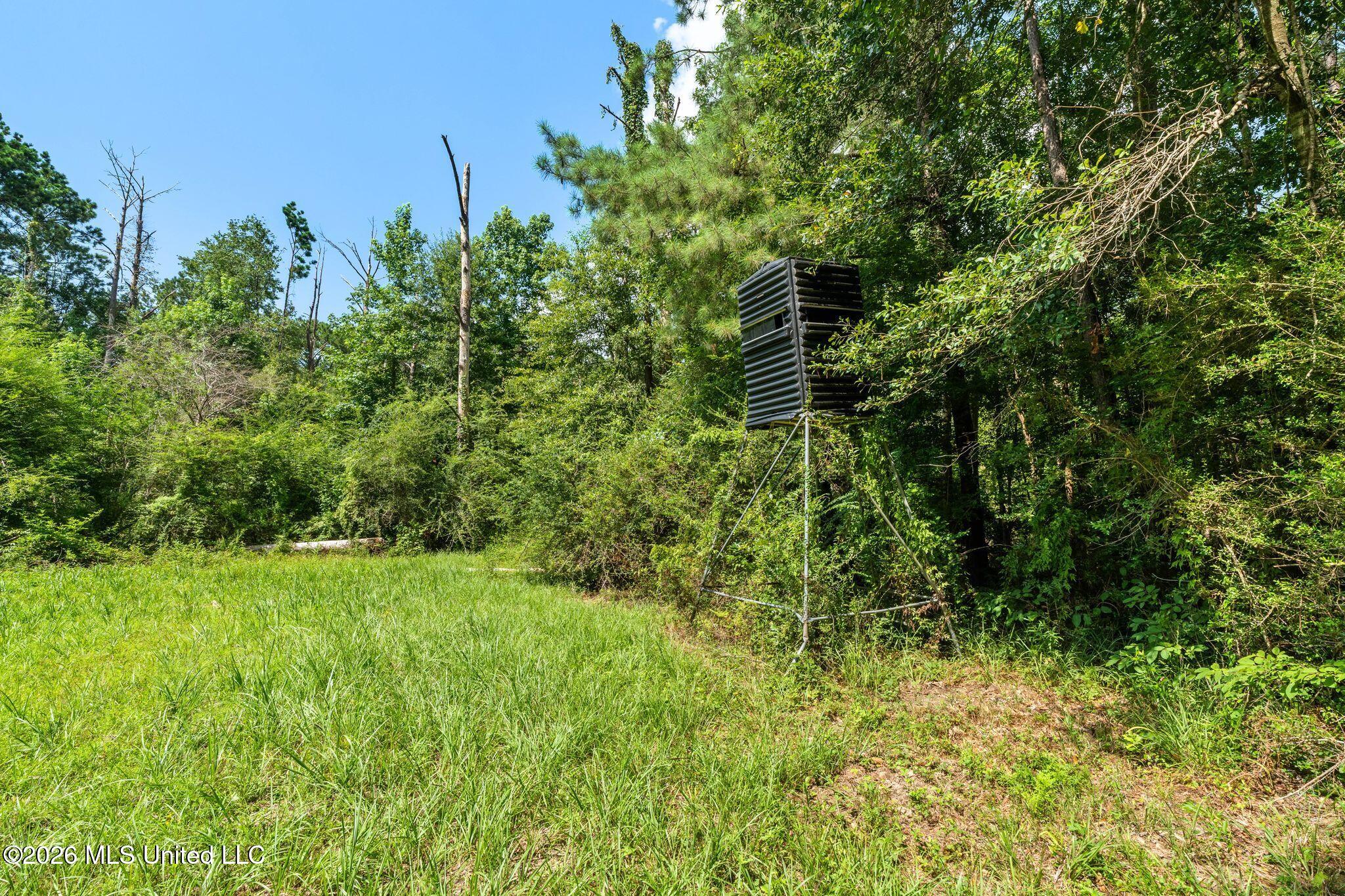 2111 Old Brookhaven Road Property Photo 83