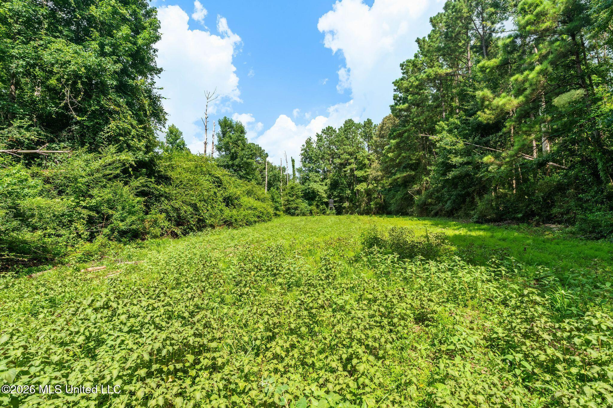 2111 Old Brookhaven Road Property Photo 84