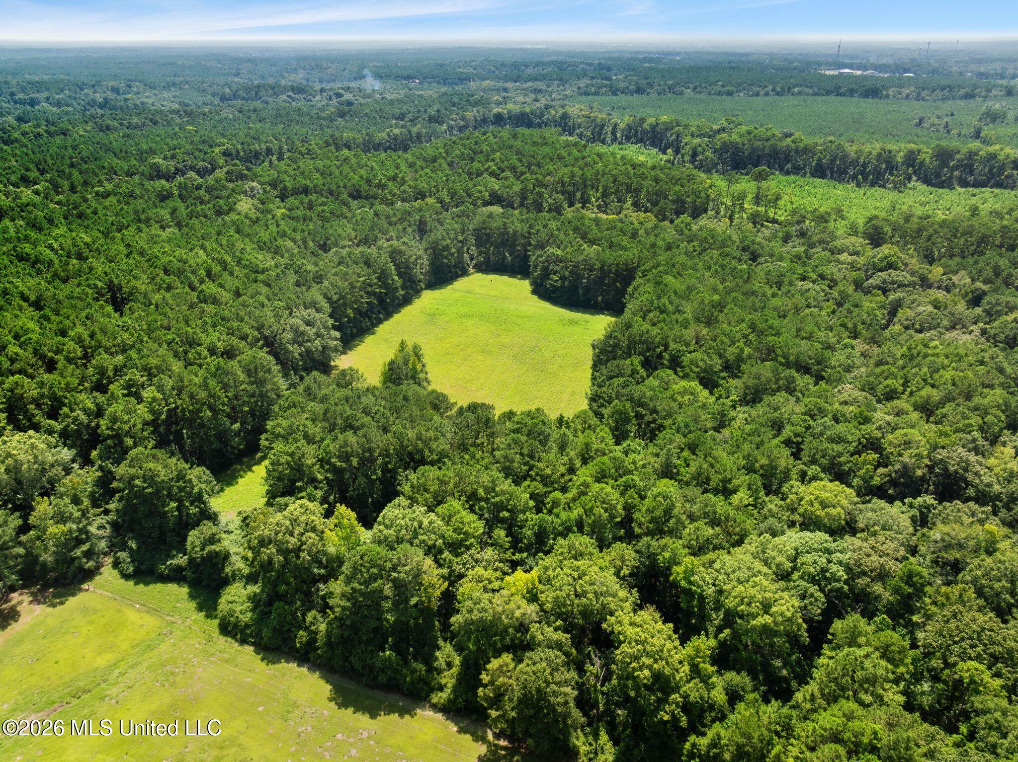 2111 Old Brookhaven Road Property Photo 87