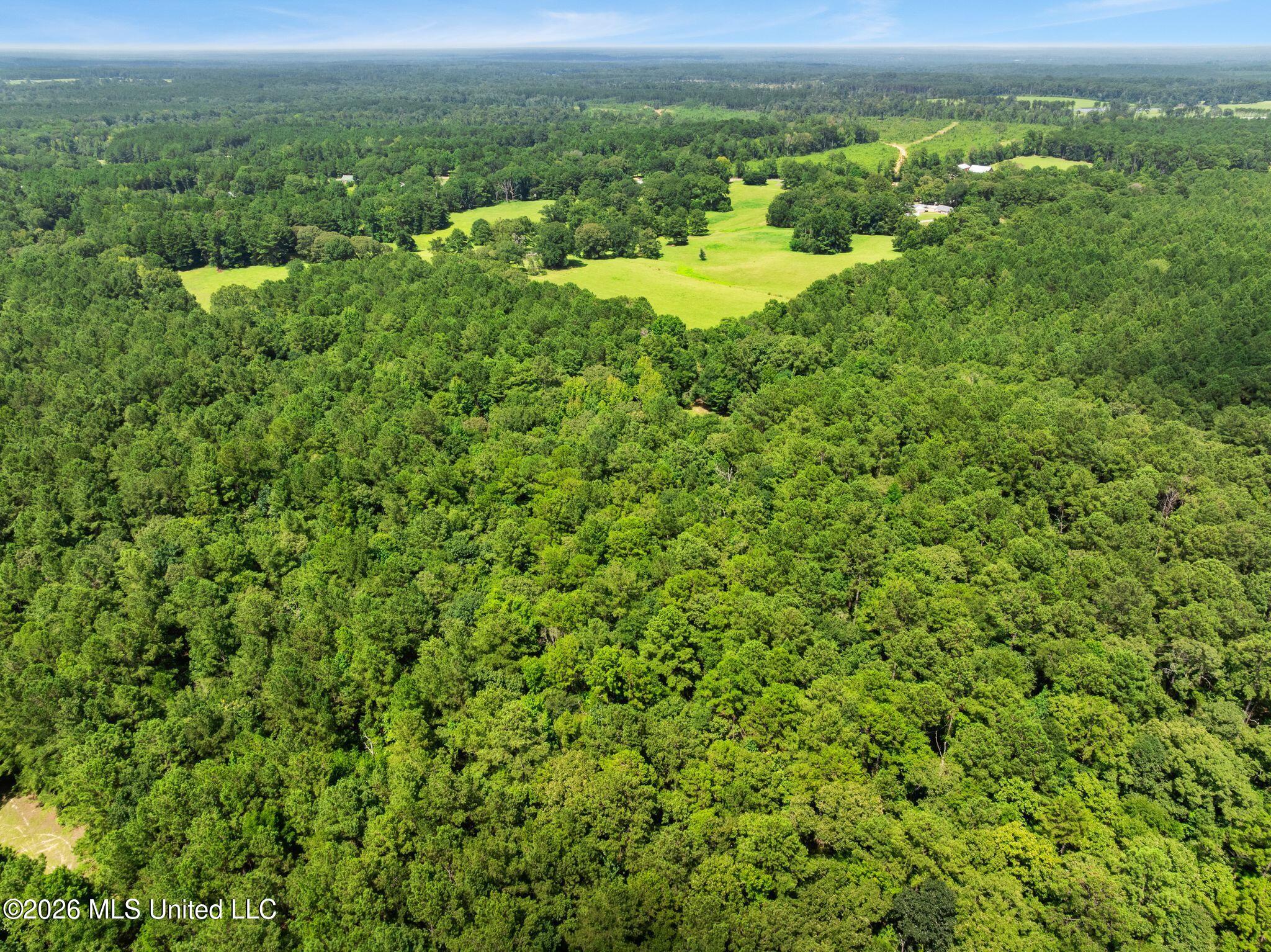 2111 Old Brookhaven Road Property Photo 93