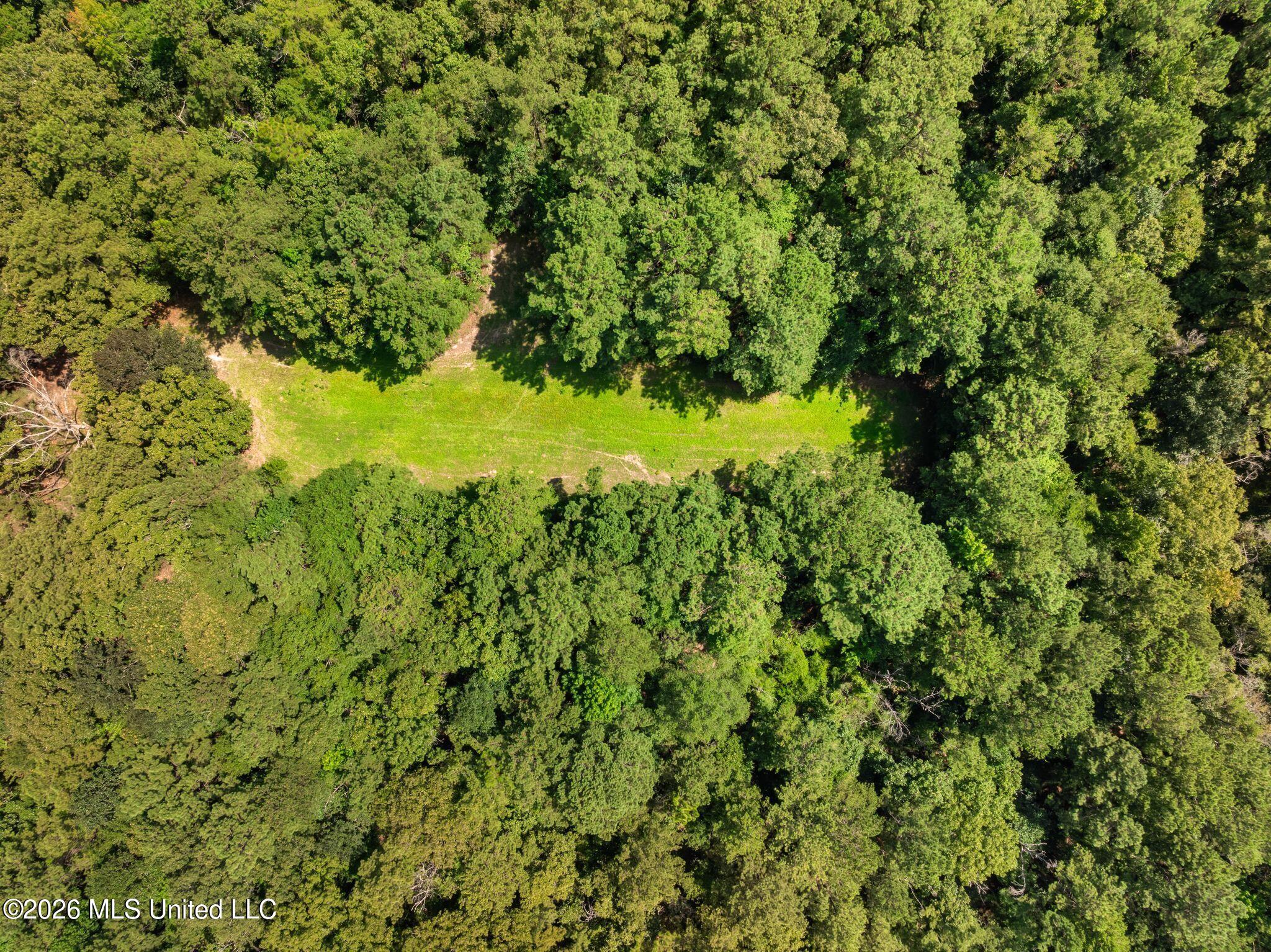 2111 Old Brookhaven Road Property Photo 95