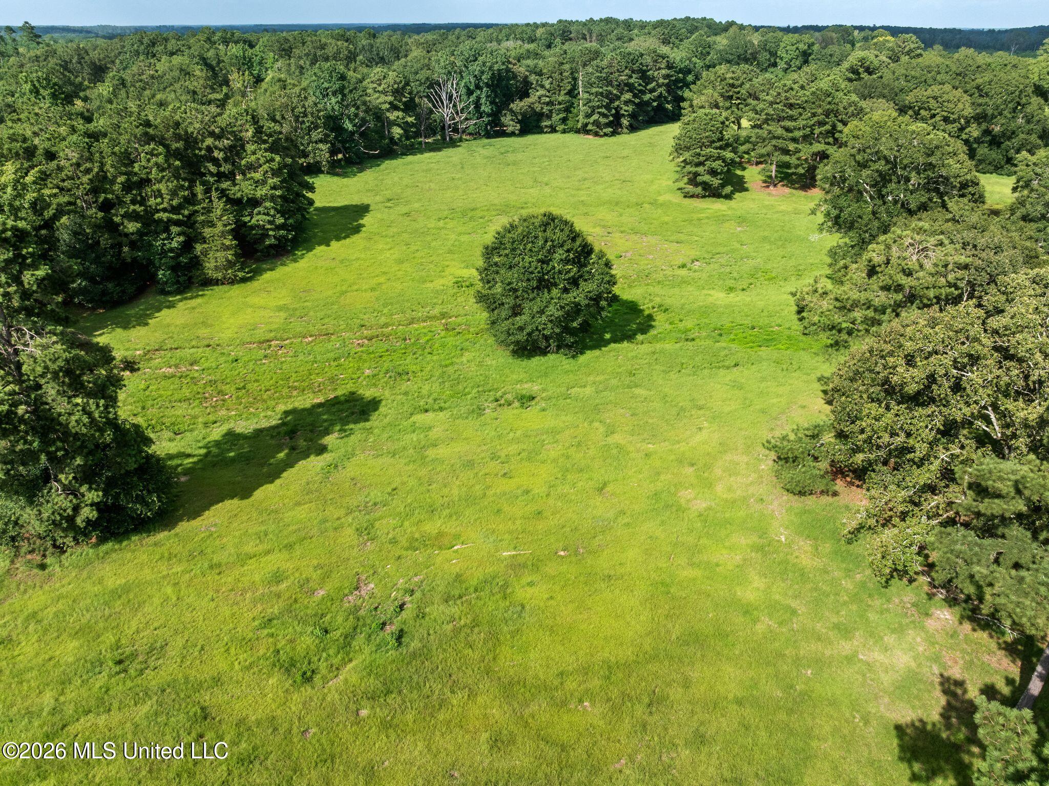 2111 Old Brookhaven Road Property Photo 98