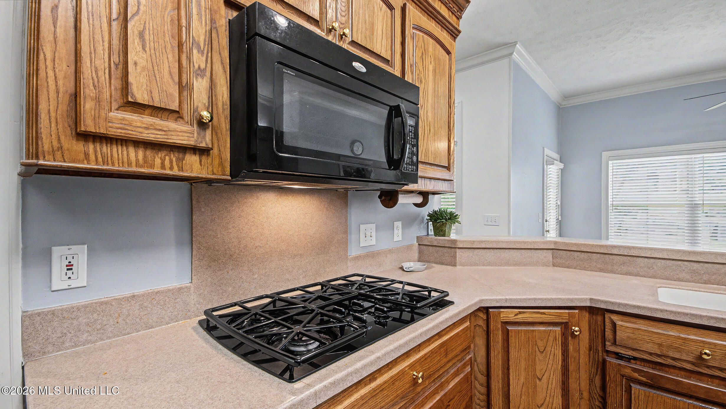 101 Chianti Cove Property Photo 23
