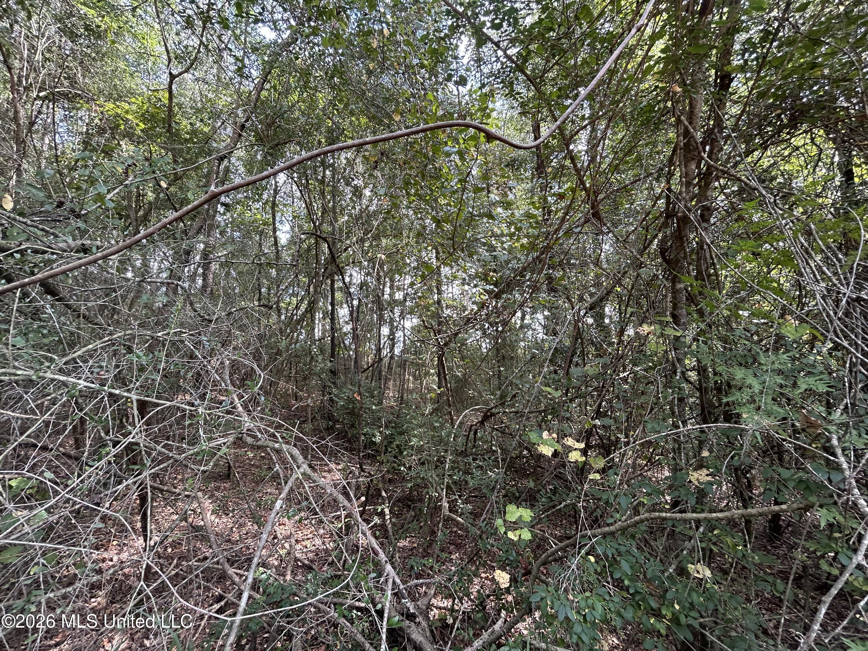 Glenndale Drive Property Photo 4