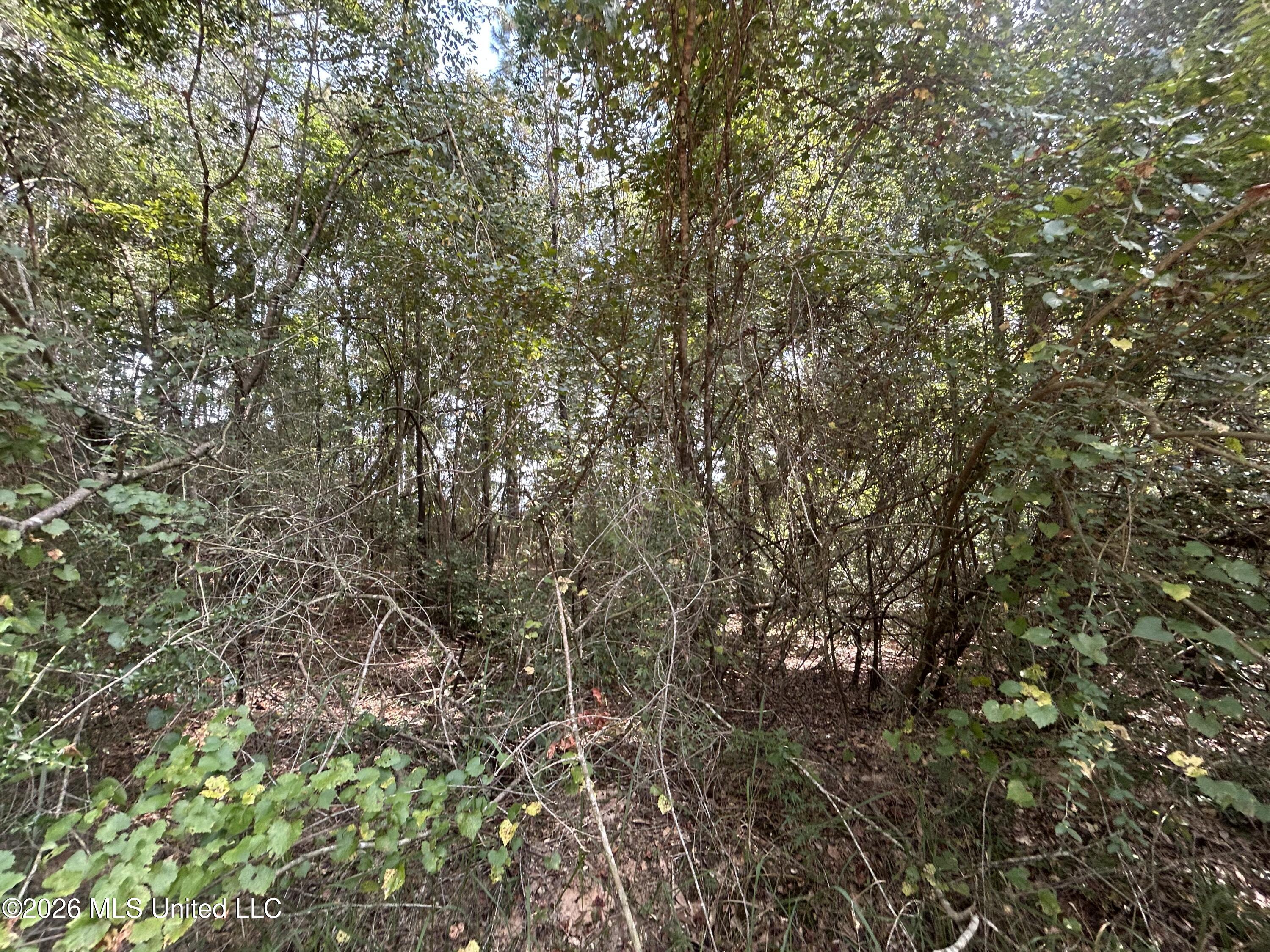 Glenndale Drive Property Photo 5