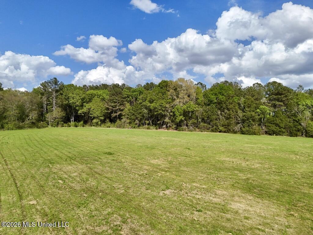 0035 Stump Bridge Road Property Photo 4