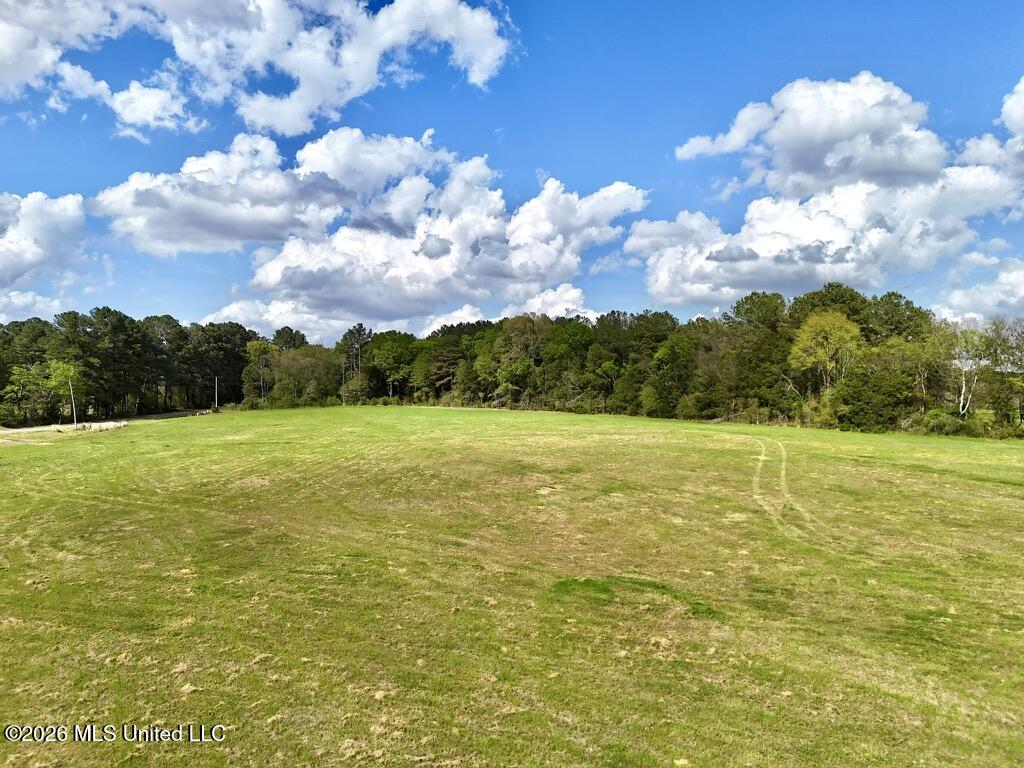 0035 Stump Bridge Road Property Photo 8