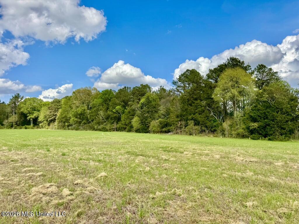 0035 Stump Bridge Road Property Photo 9