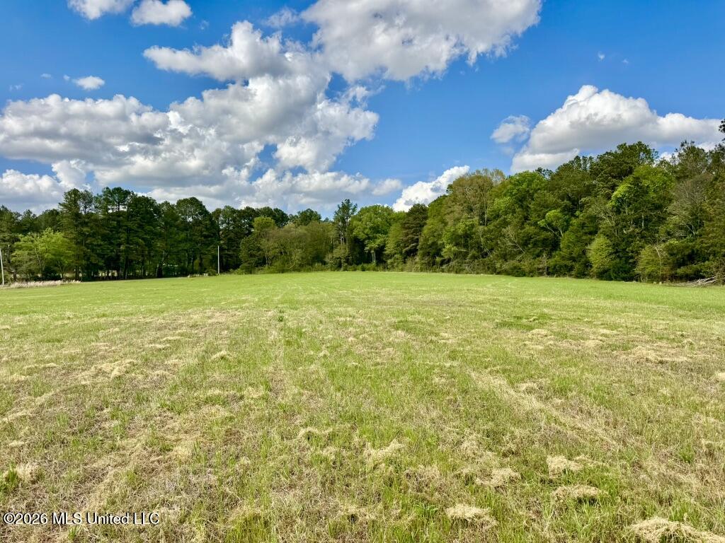 0035 Stump Bridge Road Property Photo 10