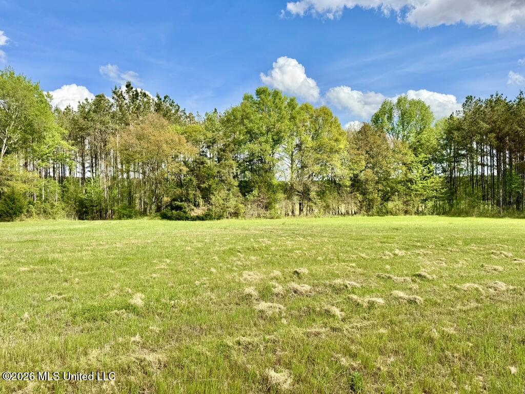 0035 Stump Bridge Road Property Photo 11
