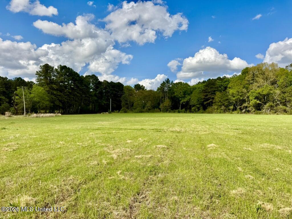 0035 Stump Bridge Road Property Photo 12