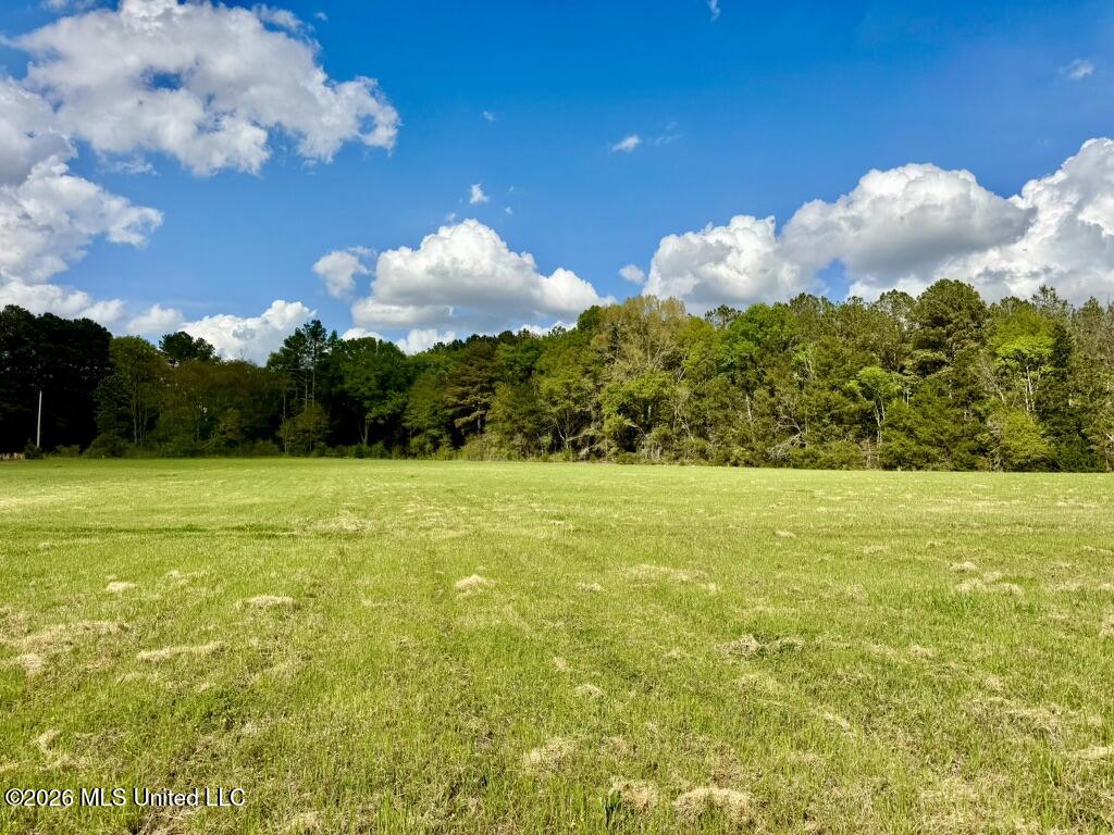 0035 Stump Bridge Road Property Photo 13