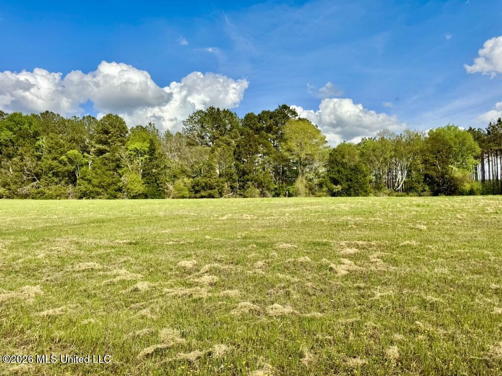 0035 Stump Bridge Road Property Photo 14