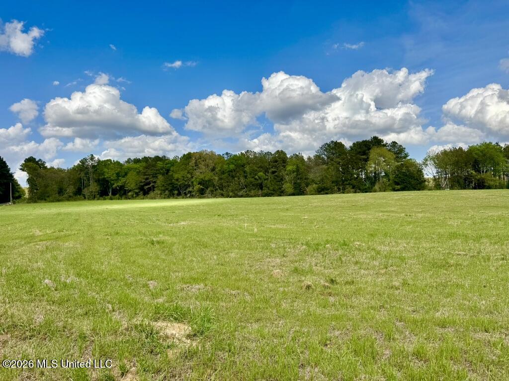 0035 Stump Bridge Road Property Photo 15