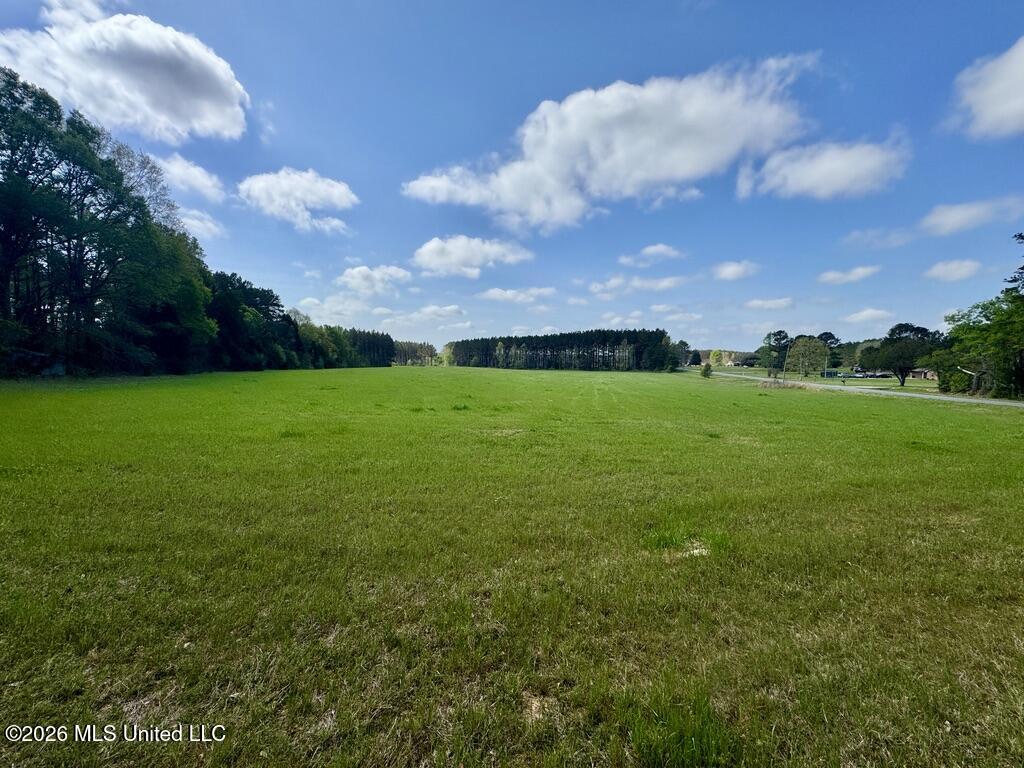 0035 Stump Bridge Road Property Photo 18