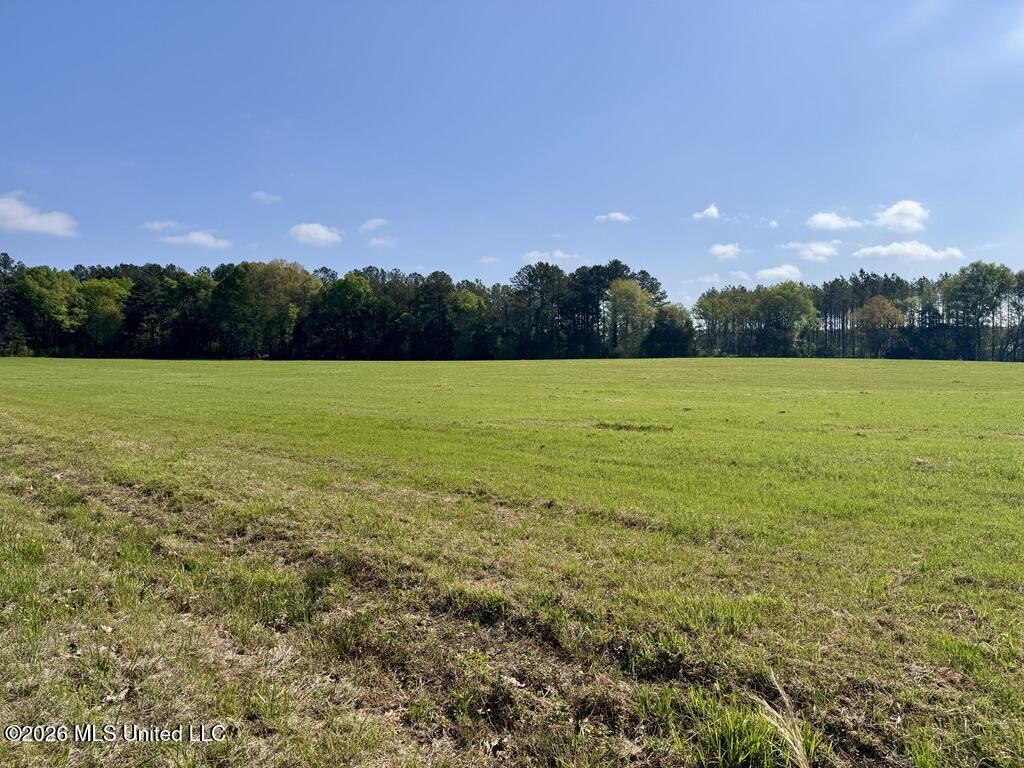 0035 Stump Bridge Road Property Photo 22