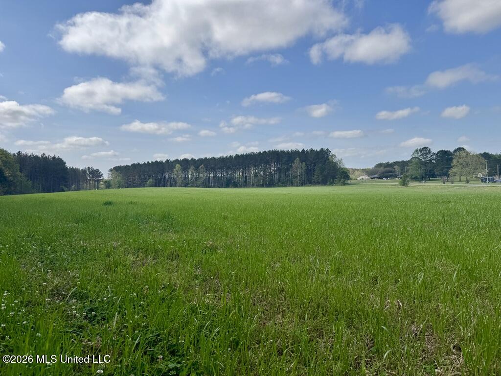 0035 Stump Bridge Road Property Photo 23