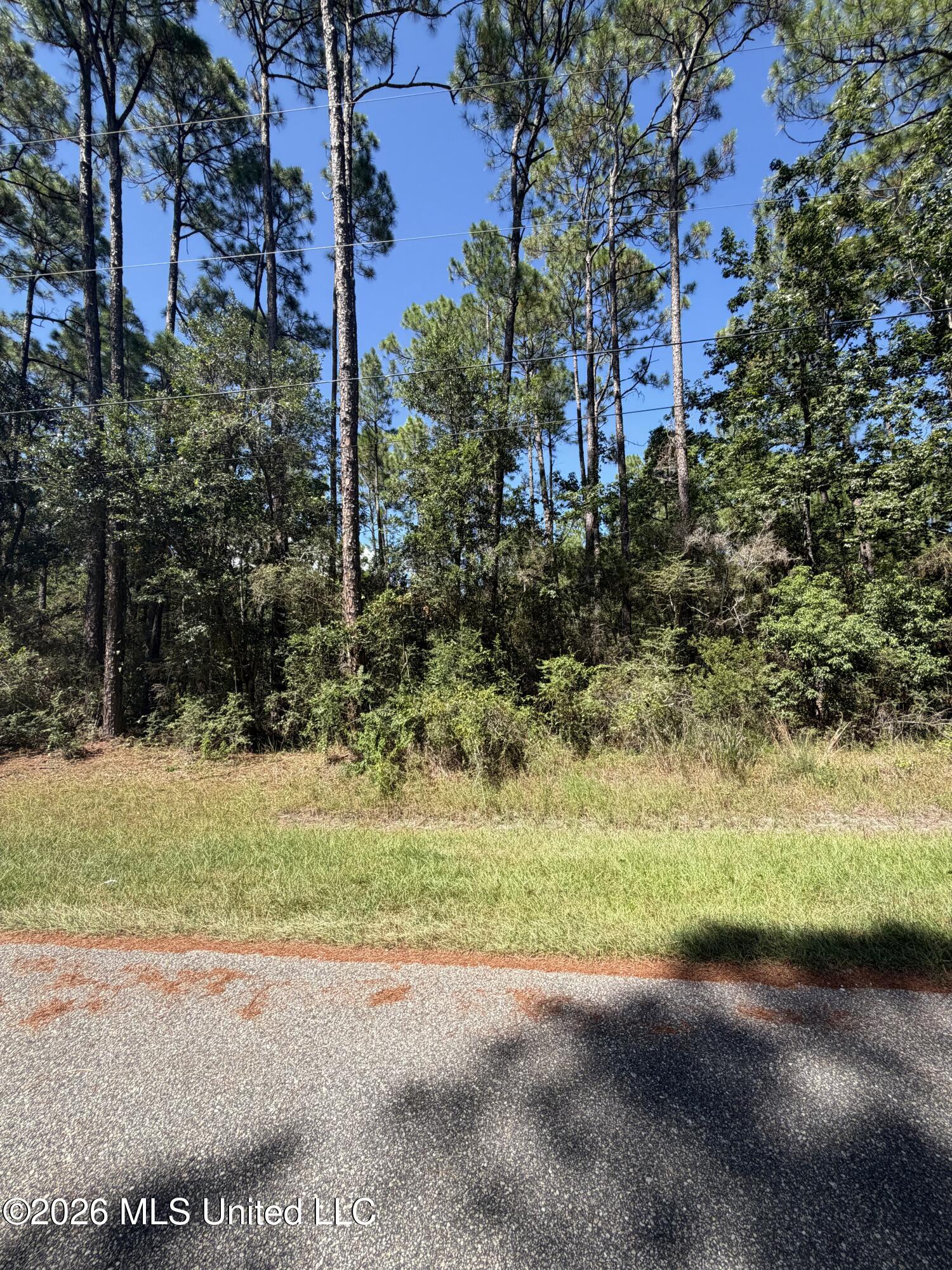 Holly Point Property Photo 1